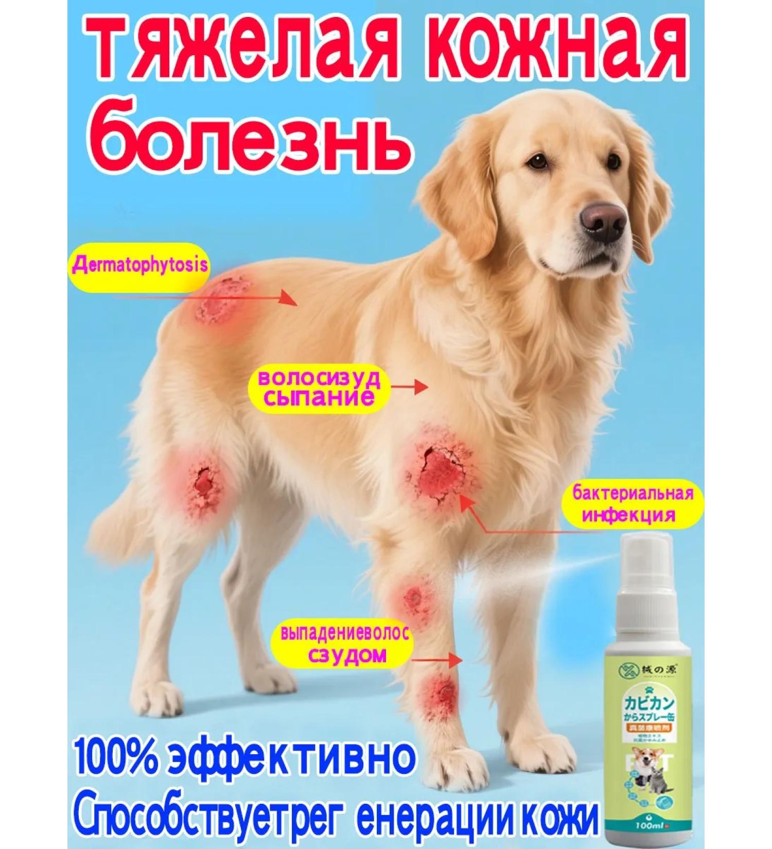 For the treatment of skin diseases of dogs and cats - Buy Online on GoSupps.com