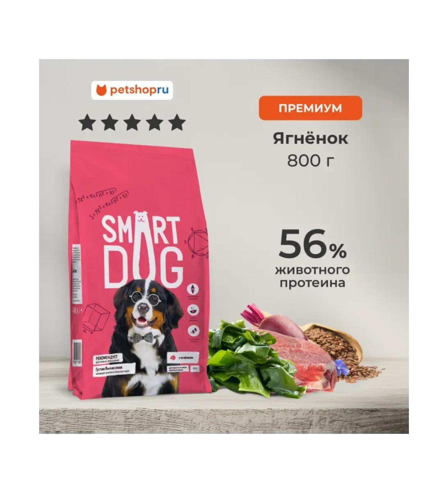 Smart Dog Dry food for adult dogs of large breeds with lamb 0.8 kg - Buy Online on GoSupps.com
