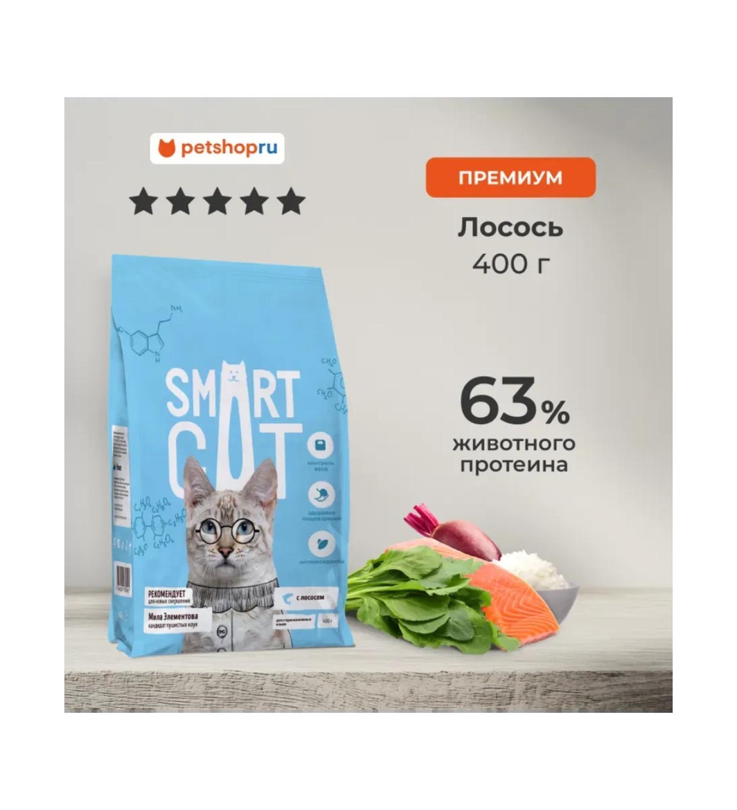 Smart Cat Dry food for sterilized cats with salmon 0.4 kg - Buy Online on GoSupps.com