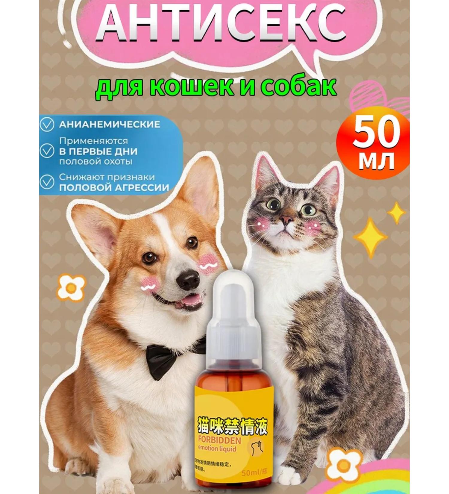 Regulation of estrus estrus and dogs Antisex 50 ml - Buy Online on GoSupps.com