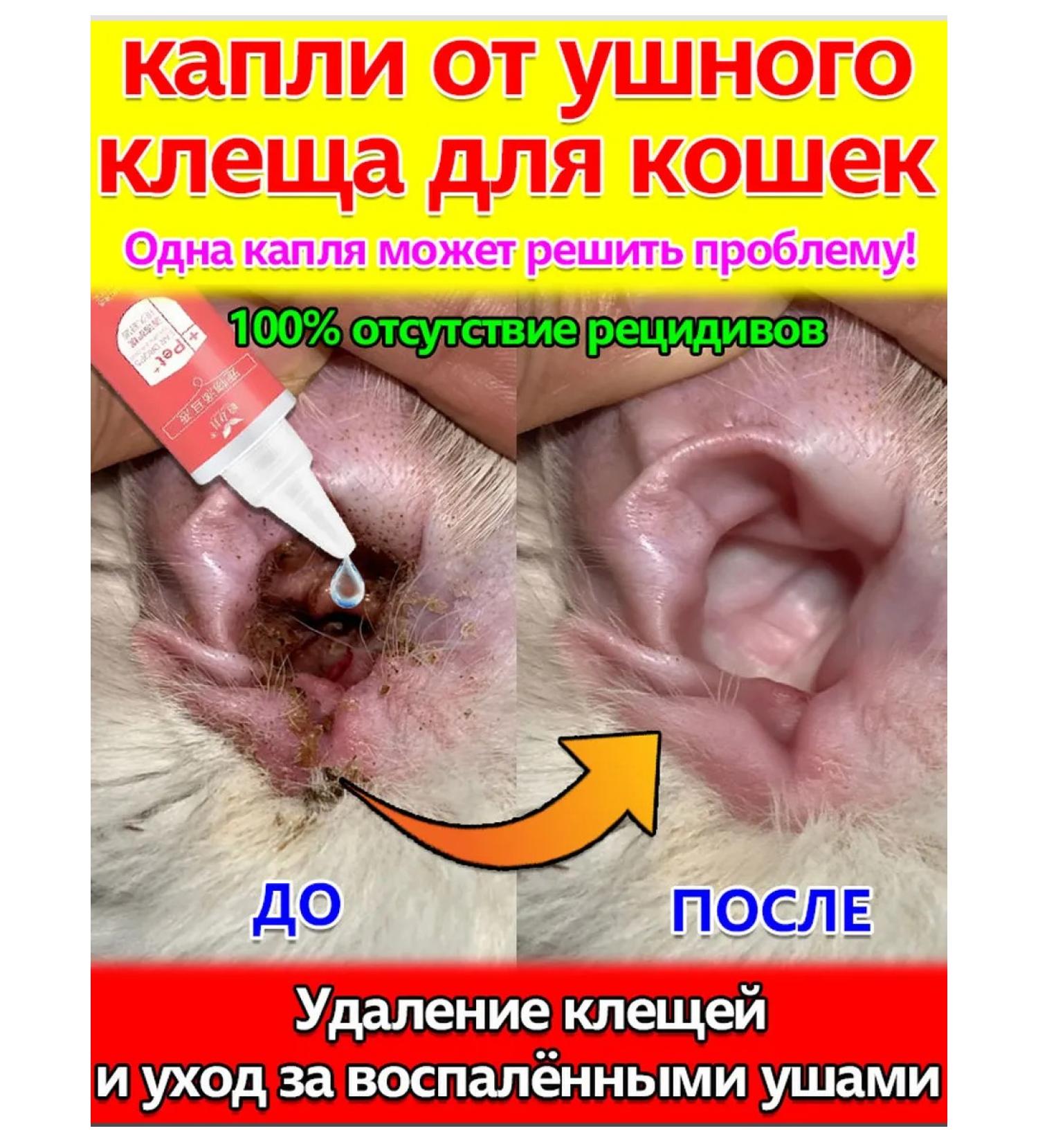 Drops from the ear tick for cats in the ears 120ml - Buy Online on GoSupps.com