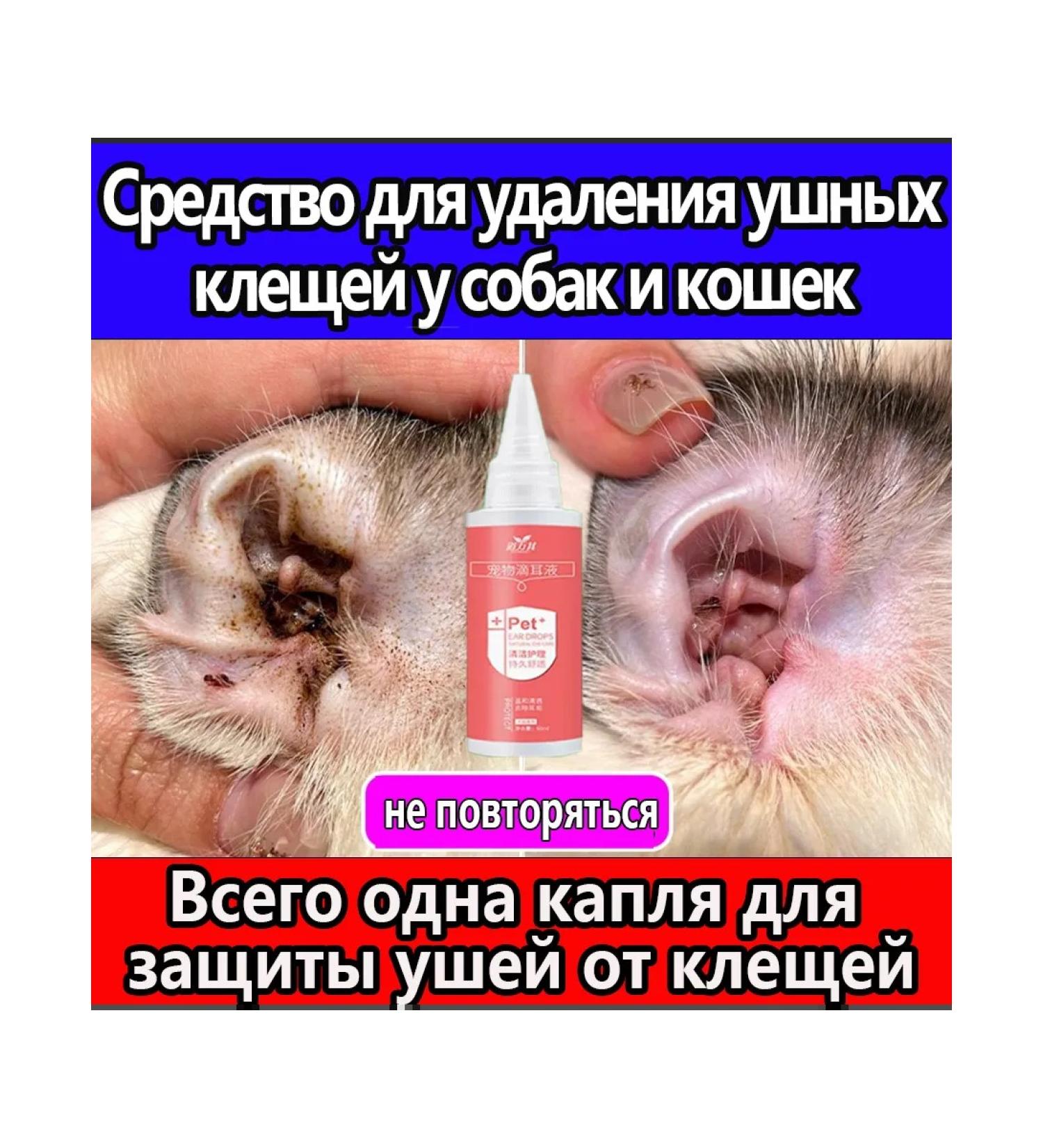 Ear drops from the ear tick for dogs and cats 60ml - Buy Online on GoSupps.com