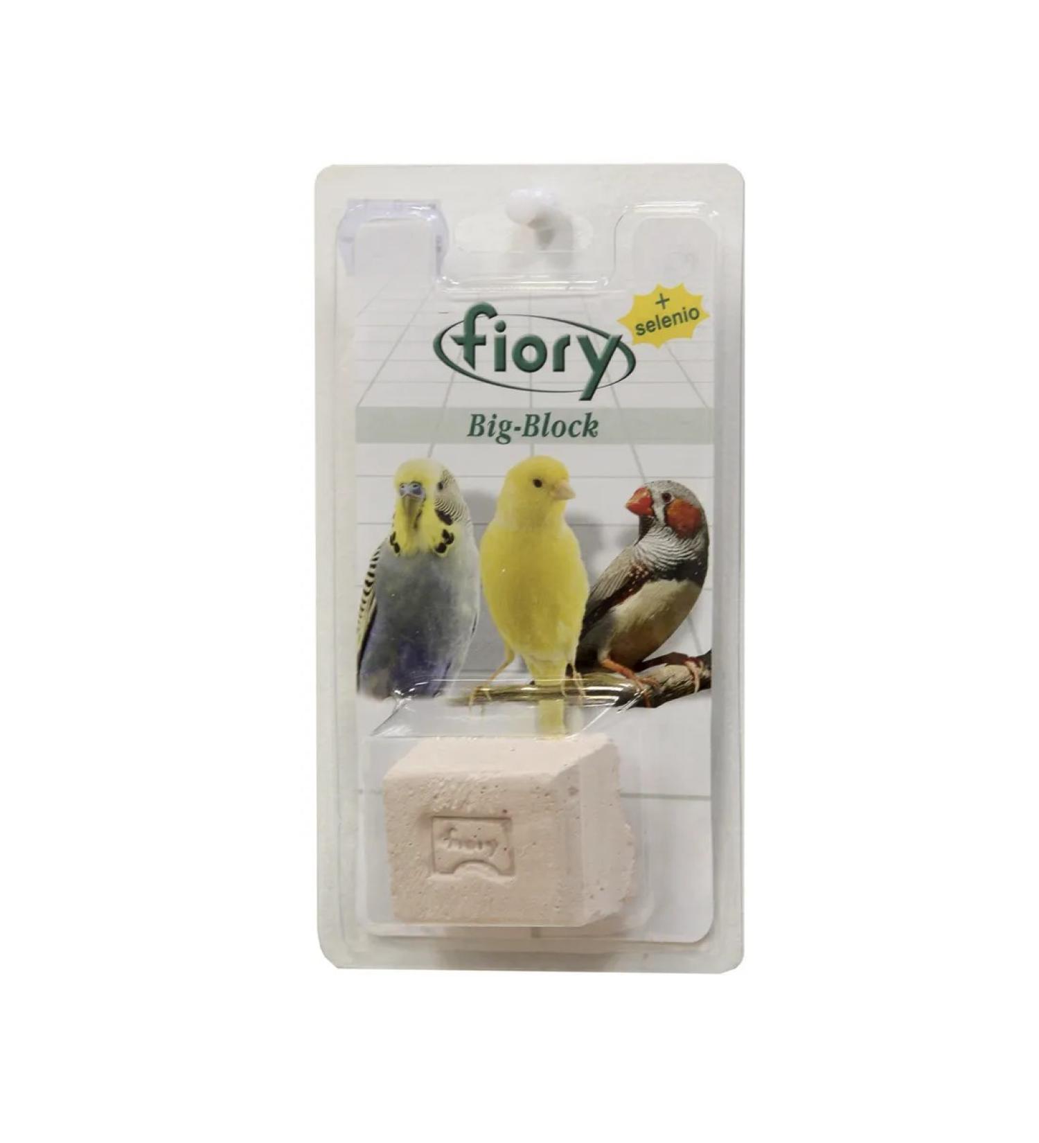 FIORY BIG-BLOCK BIG-BIS BIRN - Buy Online on GoSupps.com
