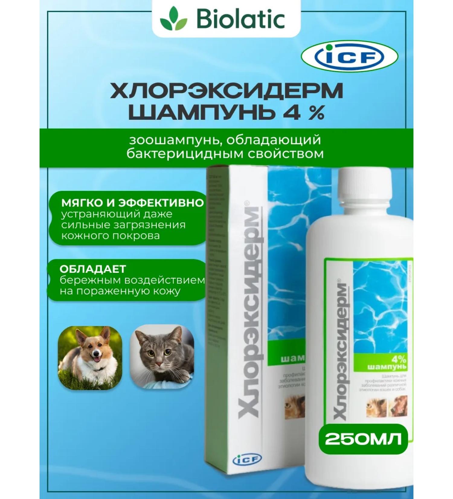 ICF Chlorexidram shampoo for animals 4% 250ml - Buy Online on GoSupps.com