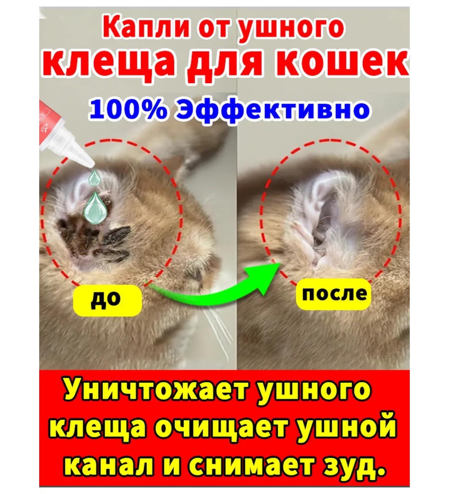 Drops for the ears of cats from the ear tick 60ml - Buy Online on GoSupps.com