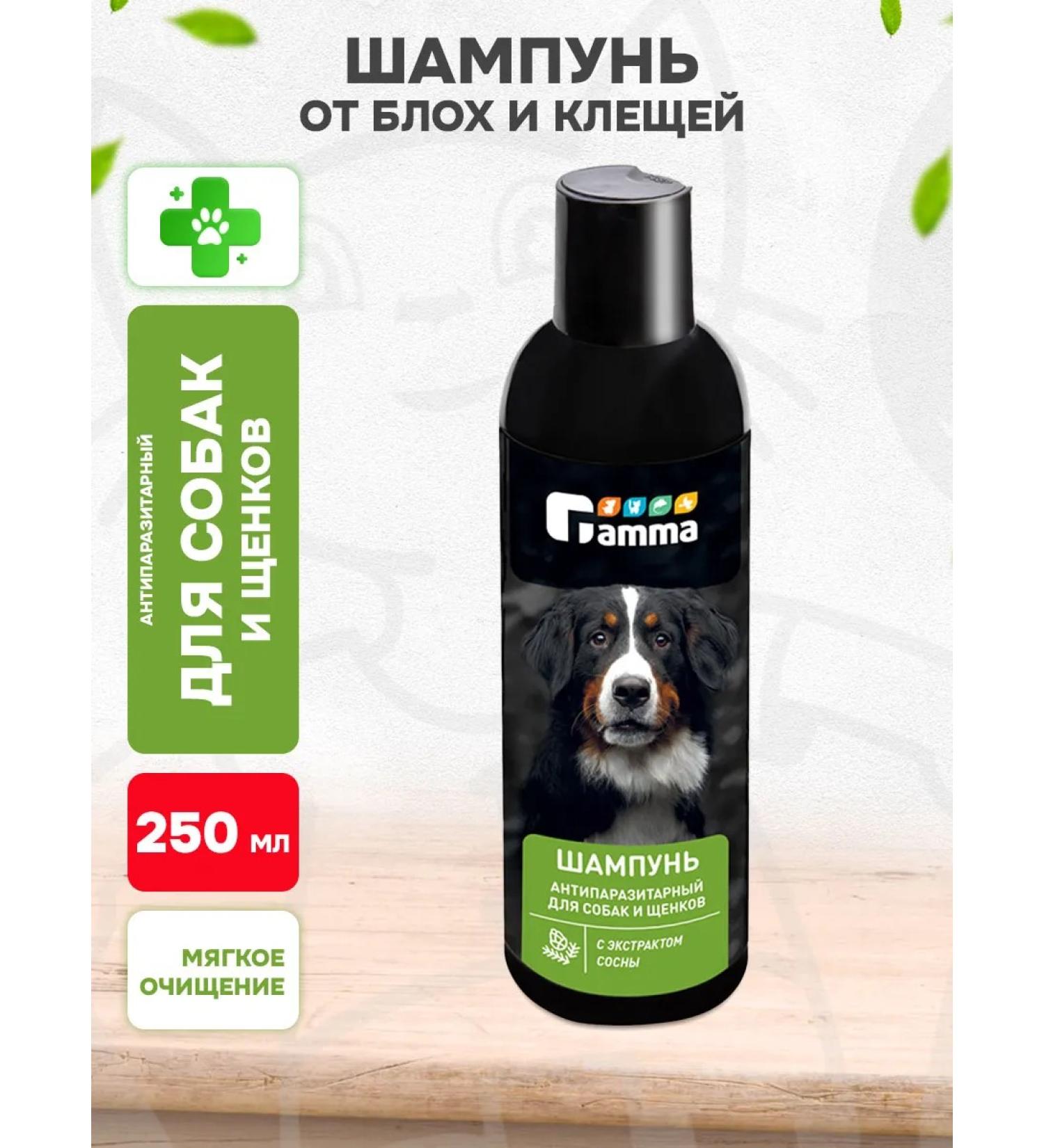 GAMMA Antiparasitic shampoo for dogs and herbal grass puppies 250 ml - Buy Online on GoSupps.com