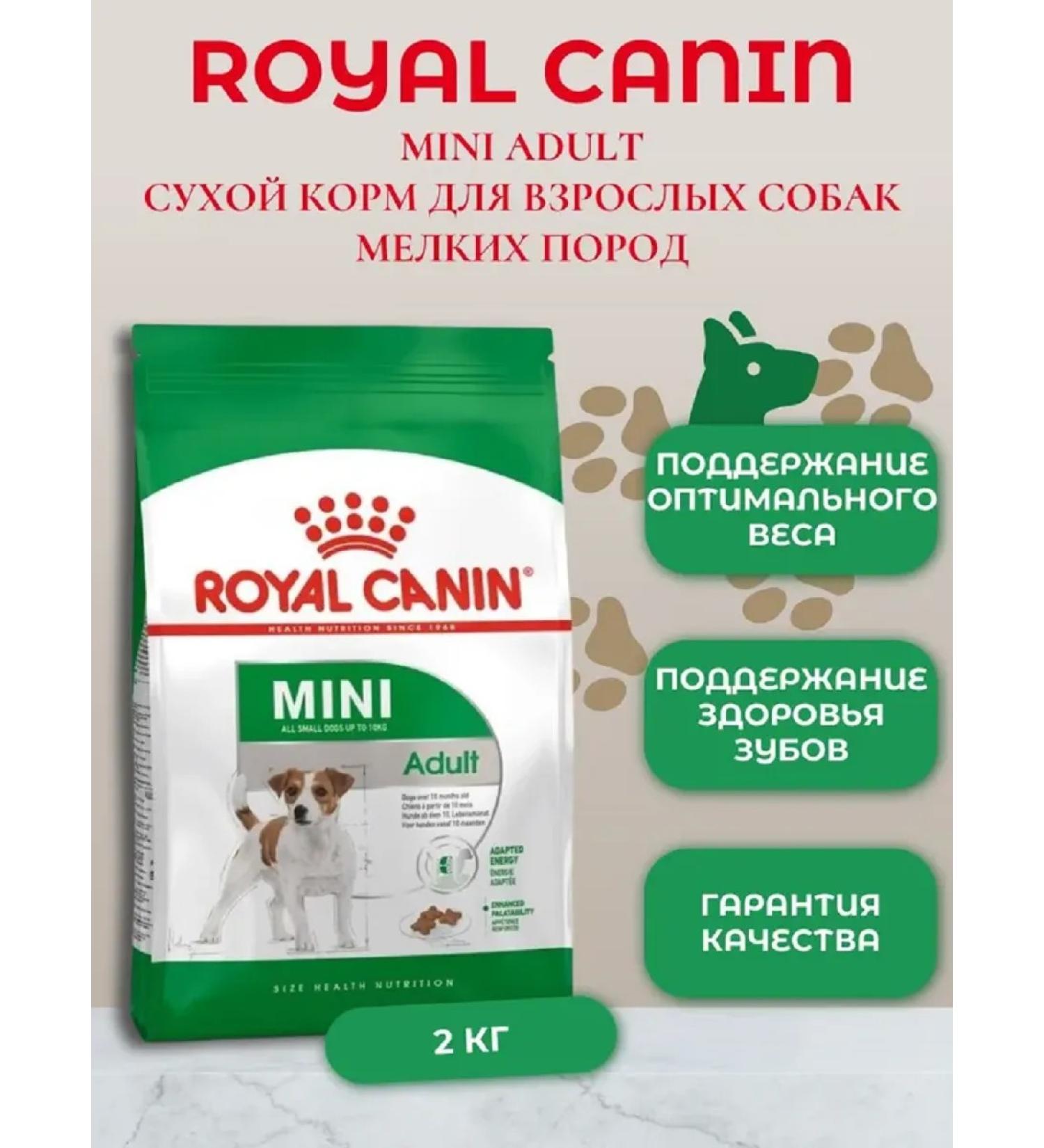 ROYAL CANIN Dry feed for dogs of small breeds Mini Adult 2kg