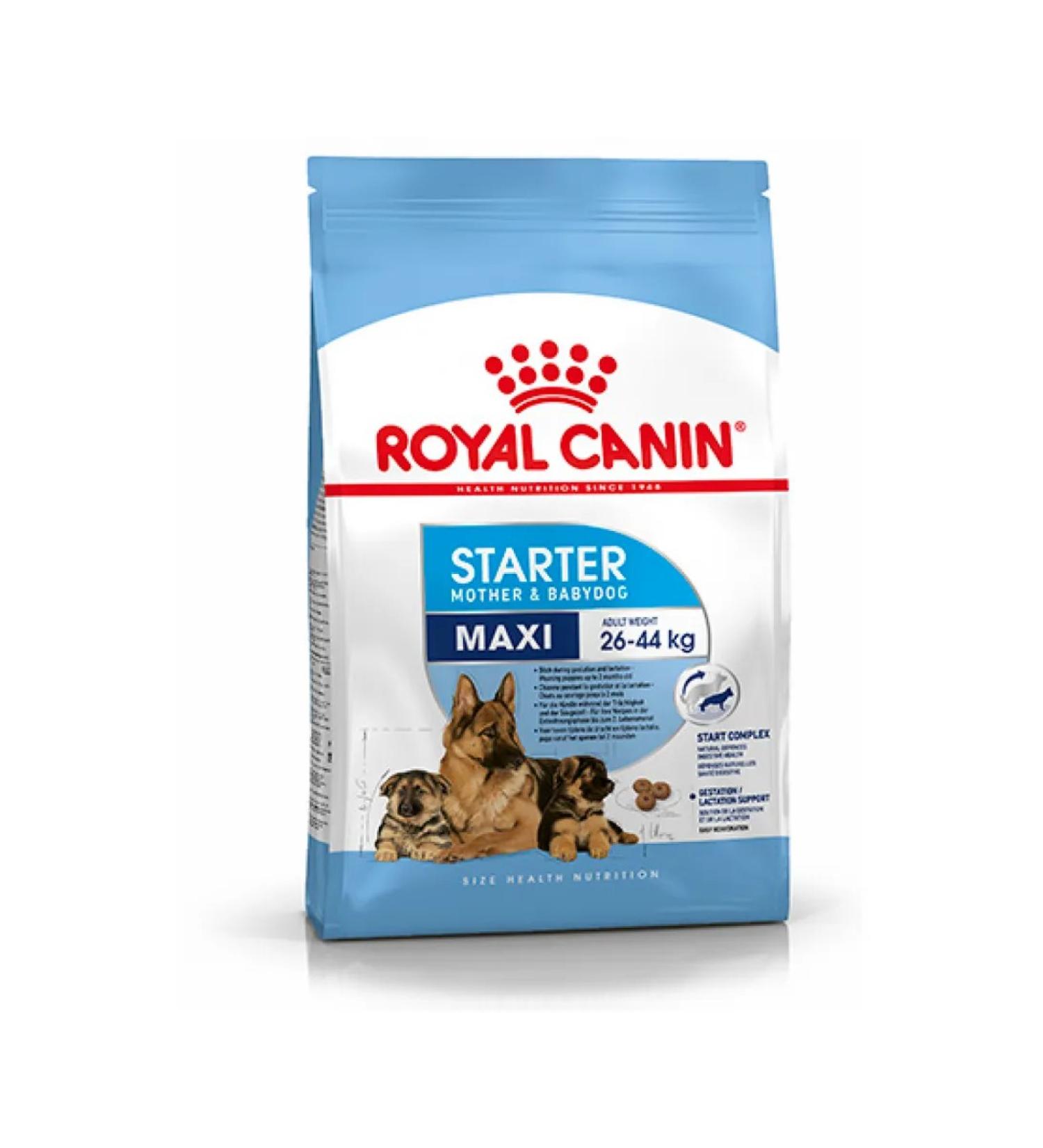 ROYAL CANIN Dry food Maxi Starter for large breed puppies 4 kg - Buy Online on GoSupps.com