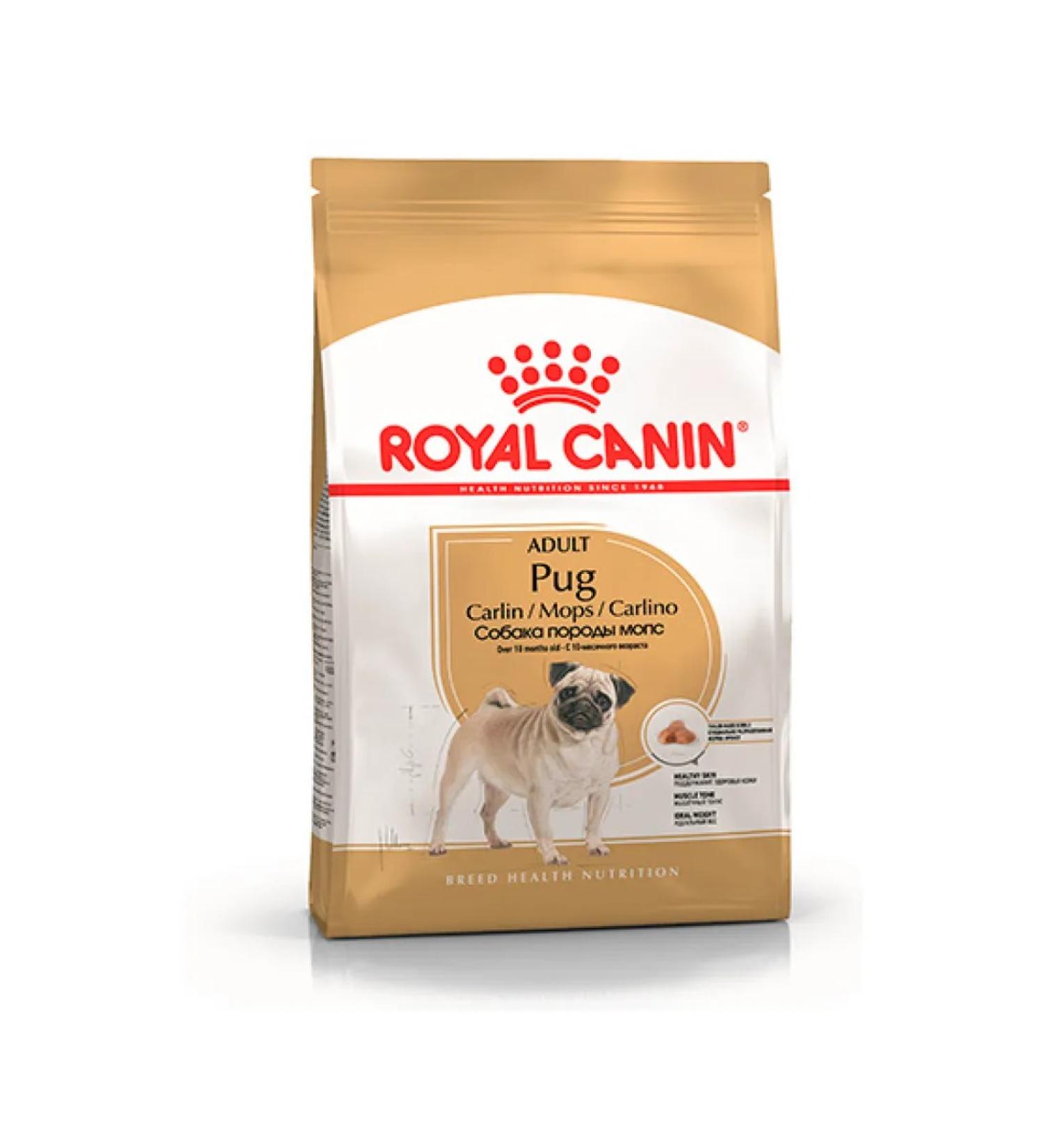 ROYAL CANIN Dry food for adult dogs of the pug breed 1.5kg - Buy Online on GoSupps.com