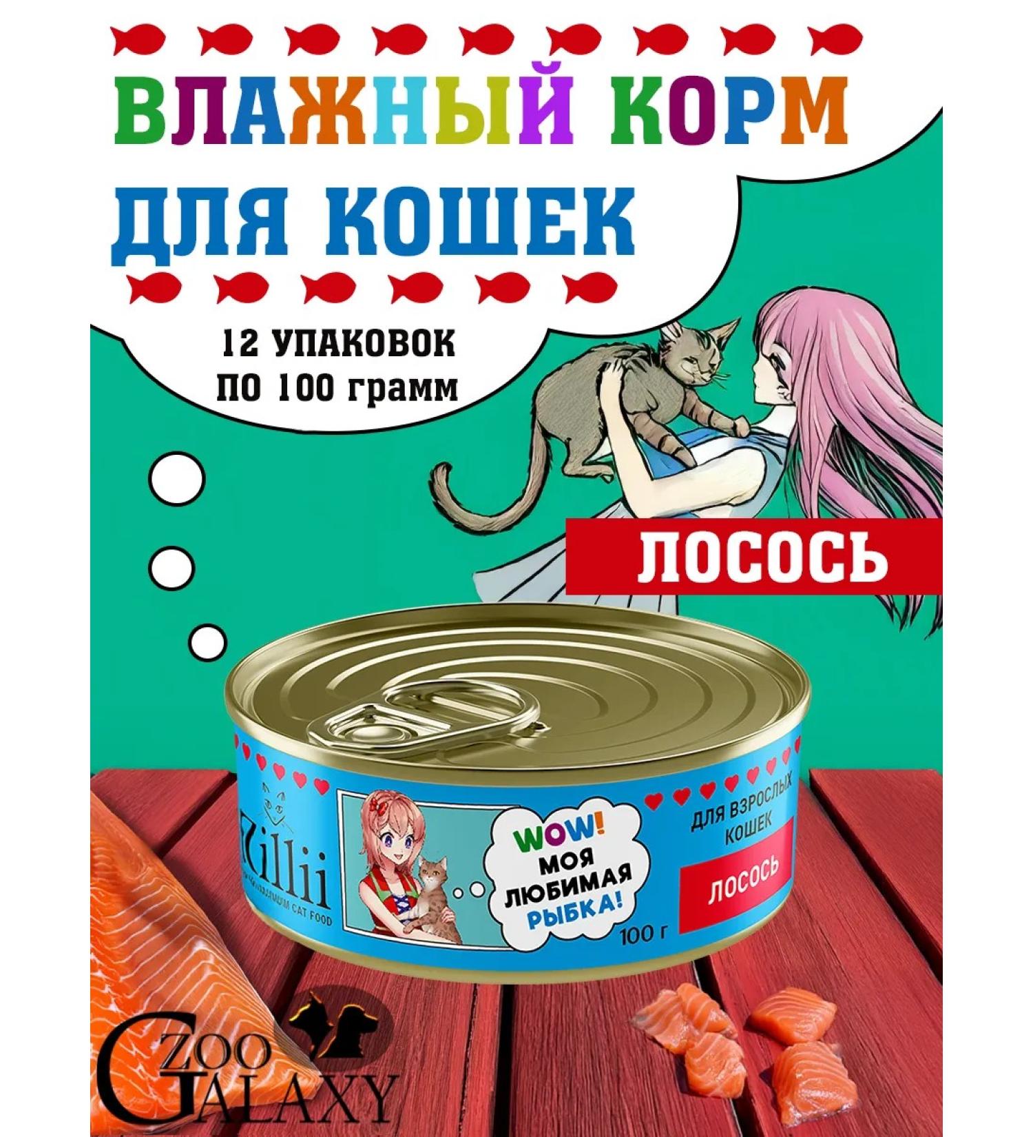 Zillii Wet food for cats with salmon 12x100g