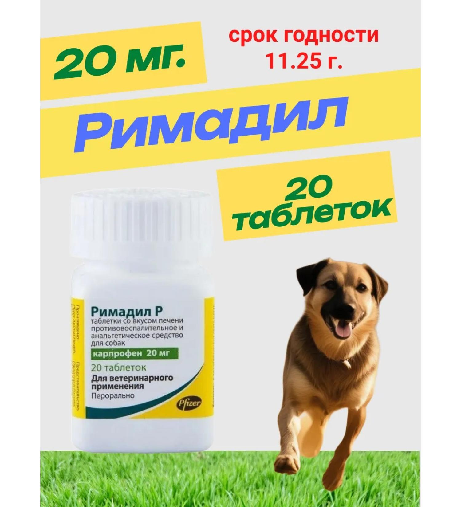 Zoetis Rimadil P for dogs 20 mg tablets No. 20