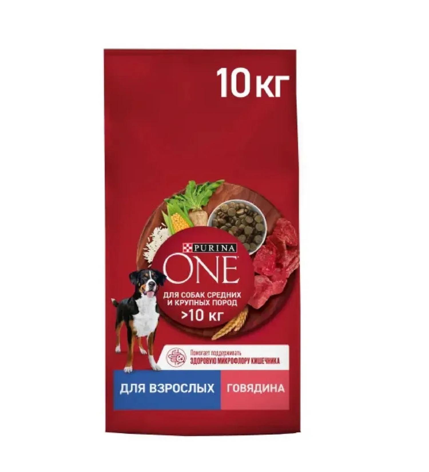 PURINA ONE Dry food for dogs with beef and rice (10 kg) - Buy Online on GoSupps.com