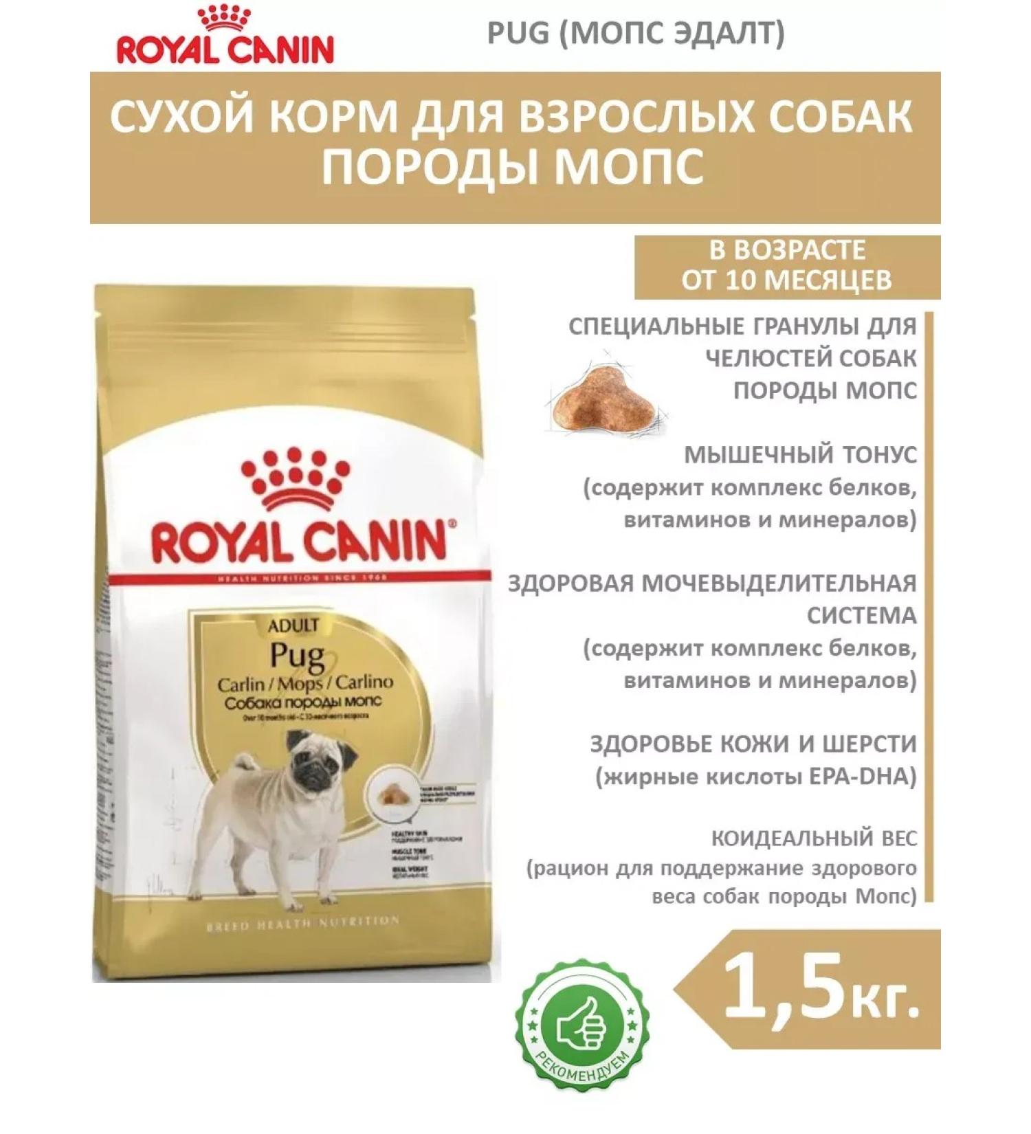 ROYAL CANIN Dog food for dry pug pug adult 1.5 kg - Buy Online on GoSupps.com