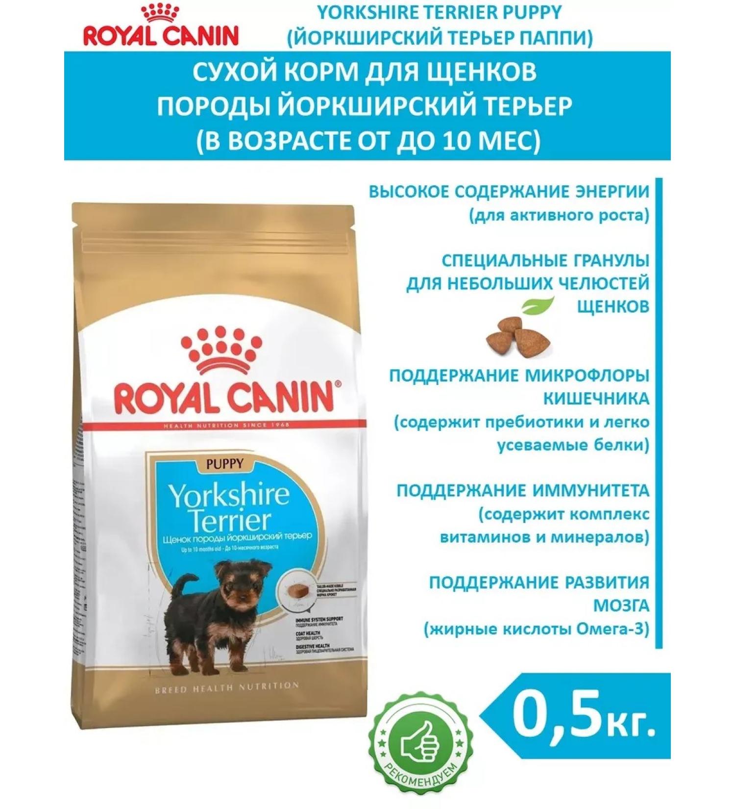 ROYAL CANIN Dry food for puppies Yorkshire Pappy Terrier 0.5 kg - Buy Online on GoSupps.com