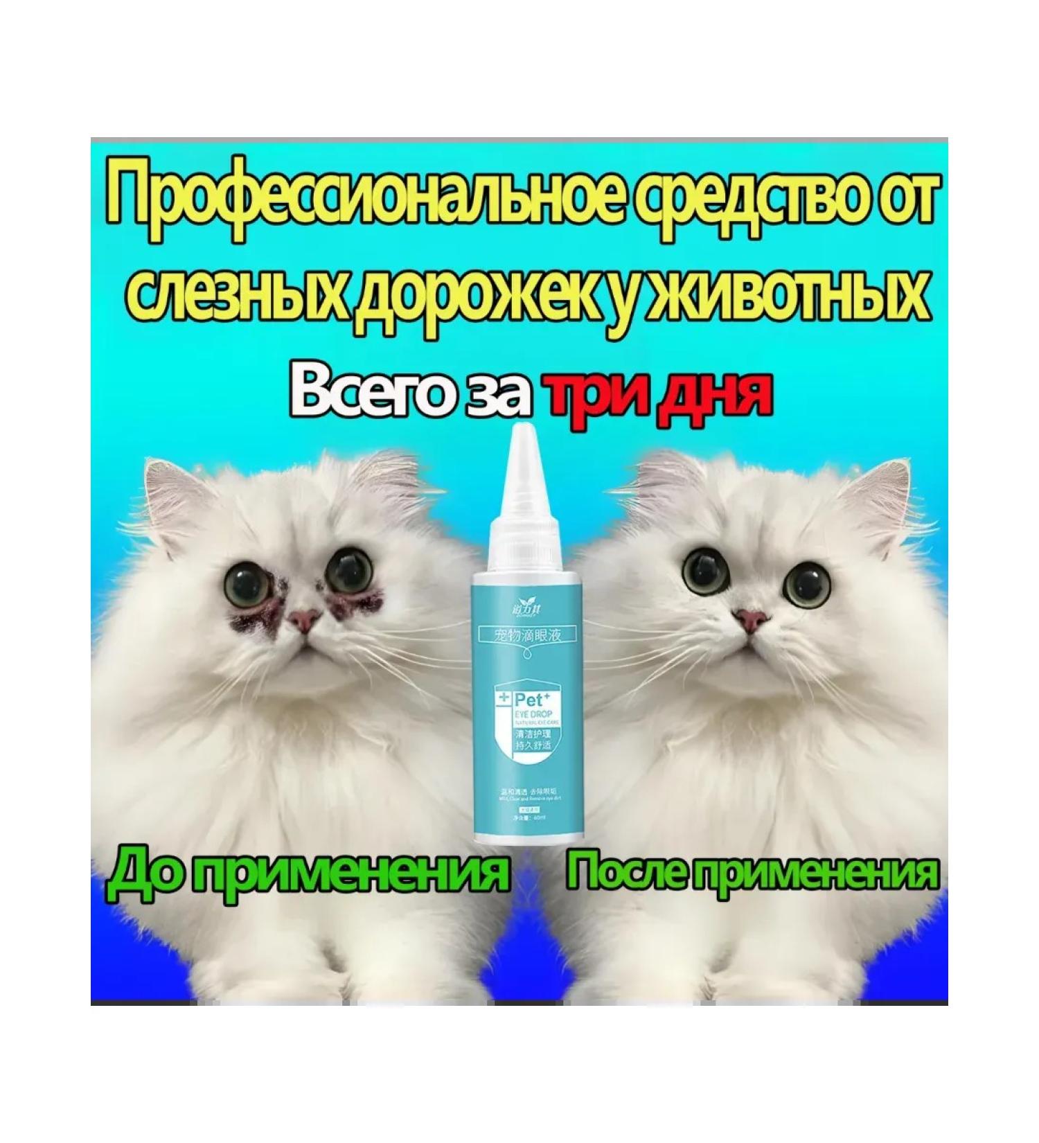 Drops for the eyes for cats and dogs 60ml - Buy Online on GoSupps.com