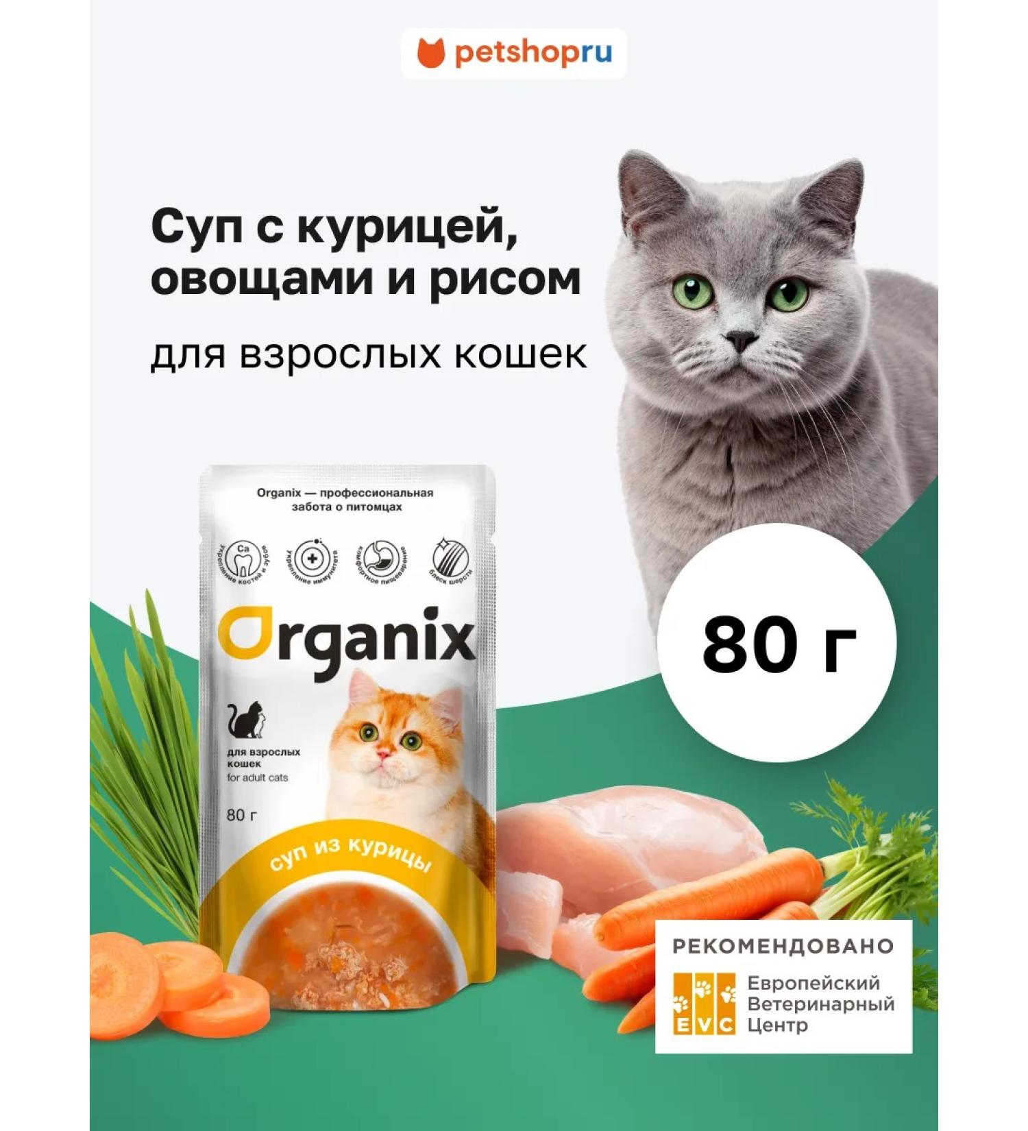 Organix Cat soup with chicken vegetables and rice. Wet food 80 g - Buy Online on GoSupps.com
