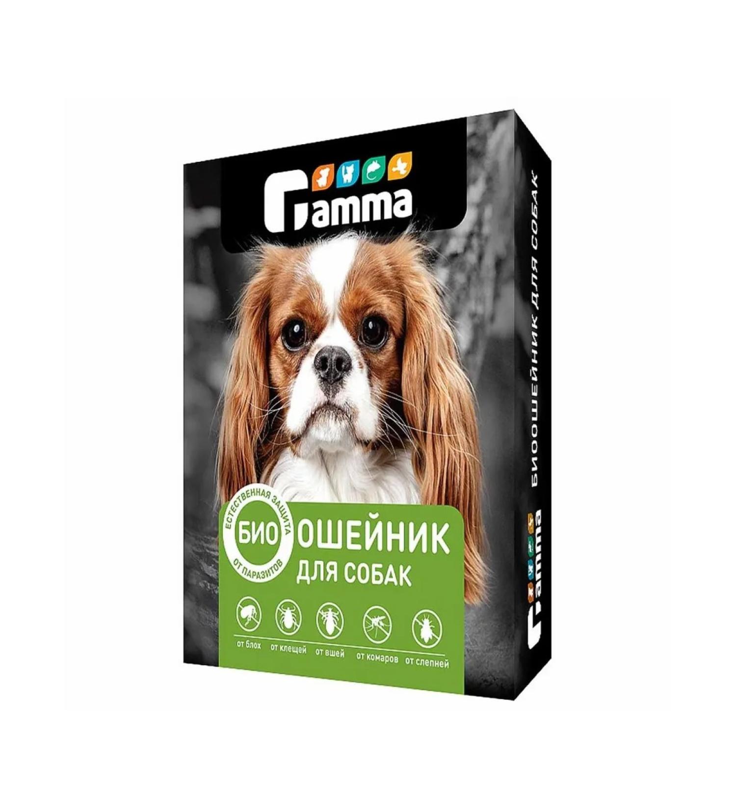 Gamma Bio -cheese for dogs from external parasites