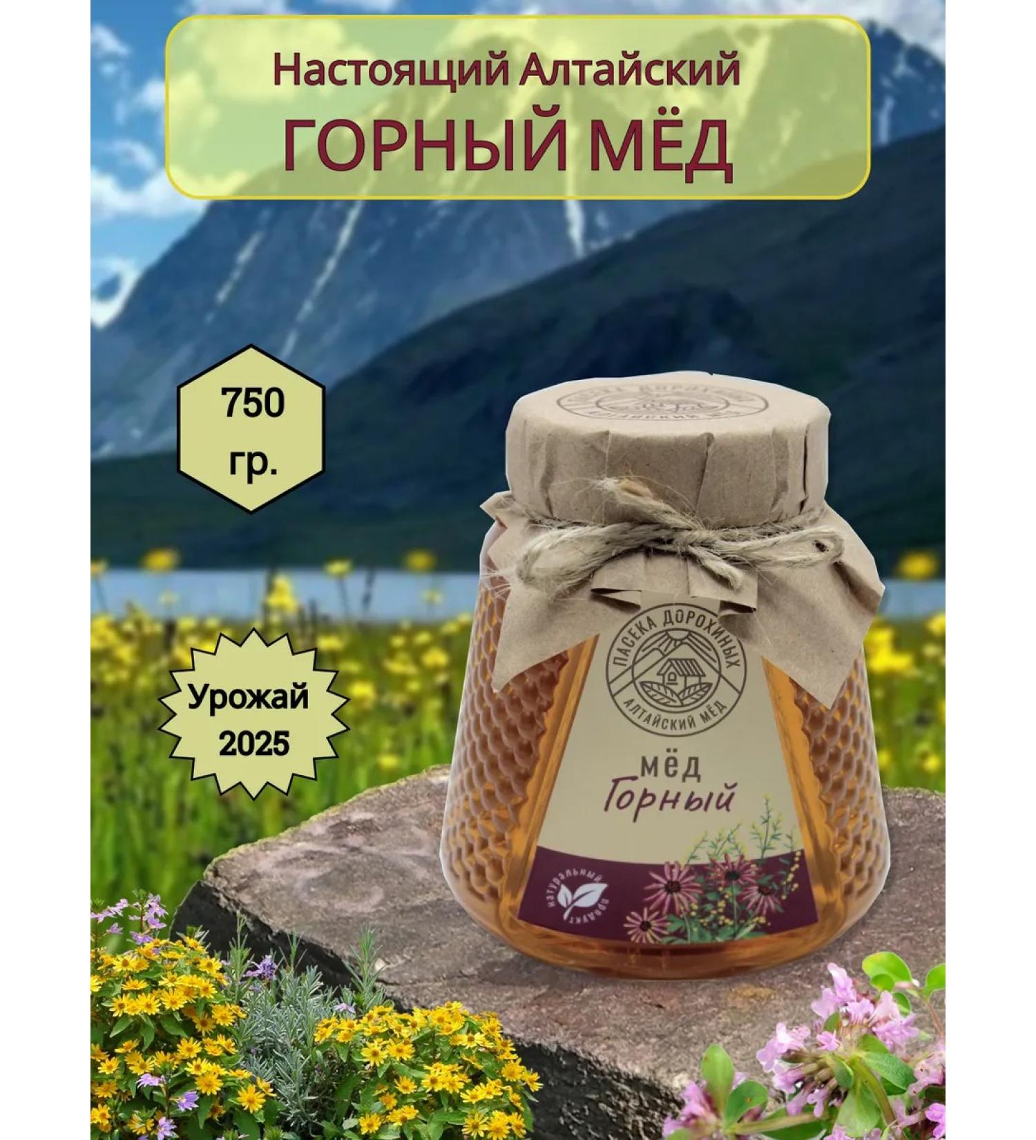 Mountain Dyeravity Natural Altai 750 GP 2025 - Buy Online on GoSupps.com