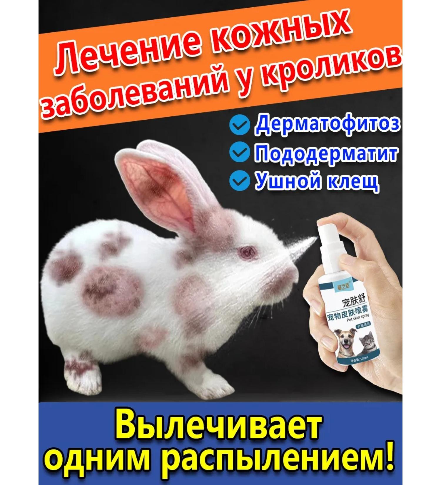 lichen and dermatitis for rabbits relieves itching 100 ml - Buy Online on GoSupps.com
