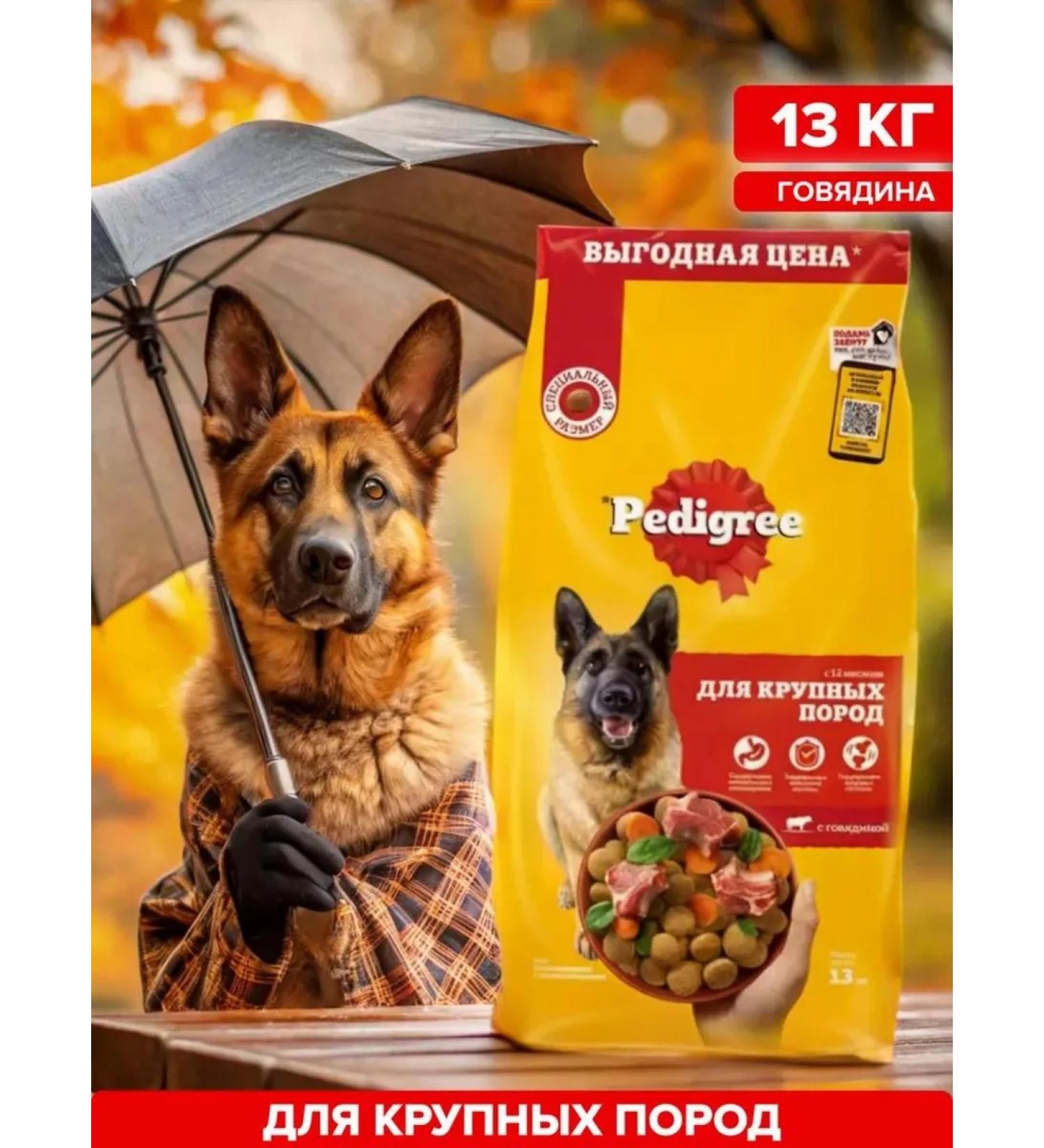 PEDIGREE Dry food for adult dogs of large breeds beef 13 kg - Buy Online on GoSupps.com