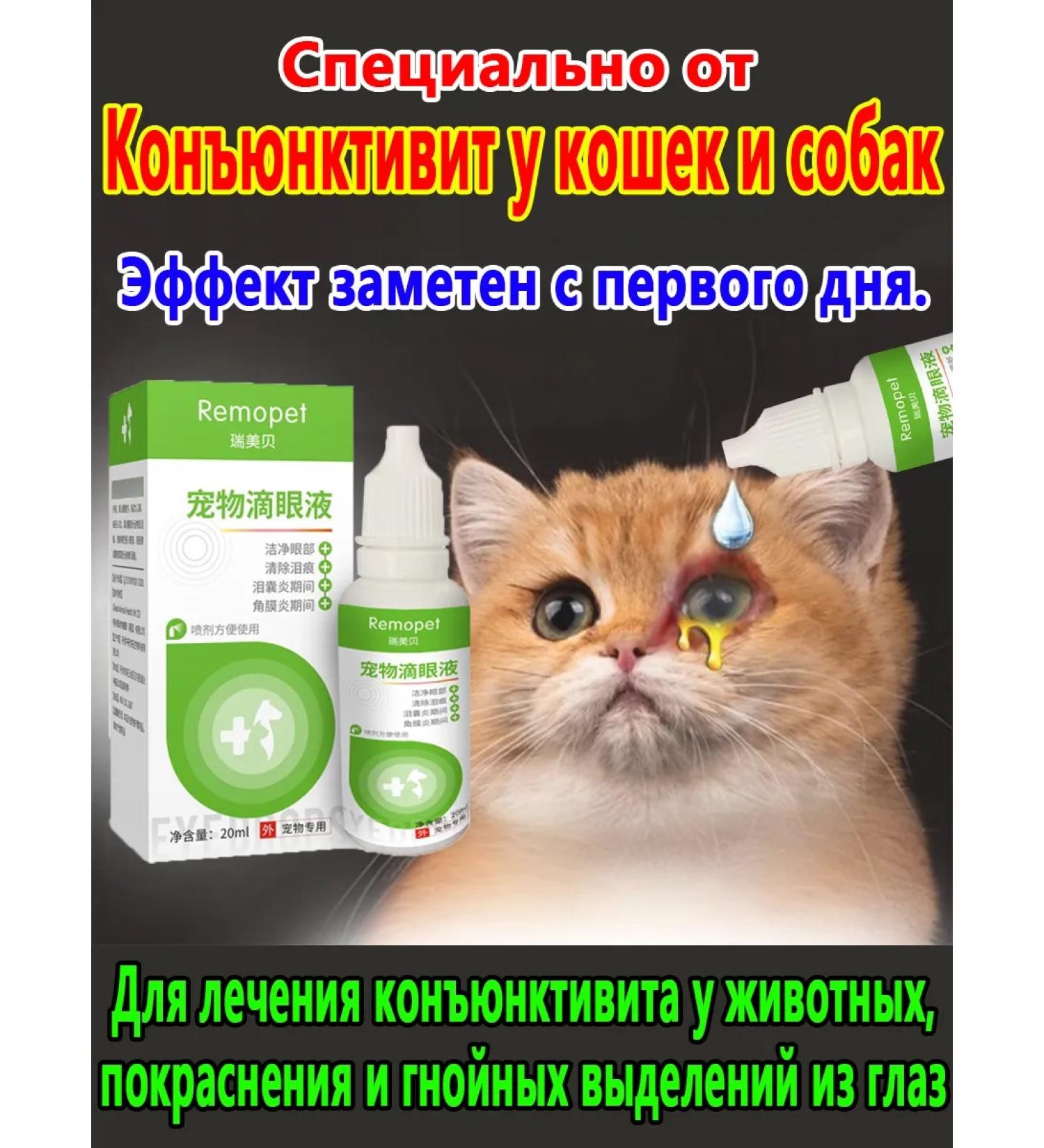 Eye drops from conjunctivitis for animals 40 ml - Buy Online on GoSupps.com