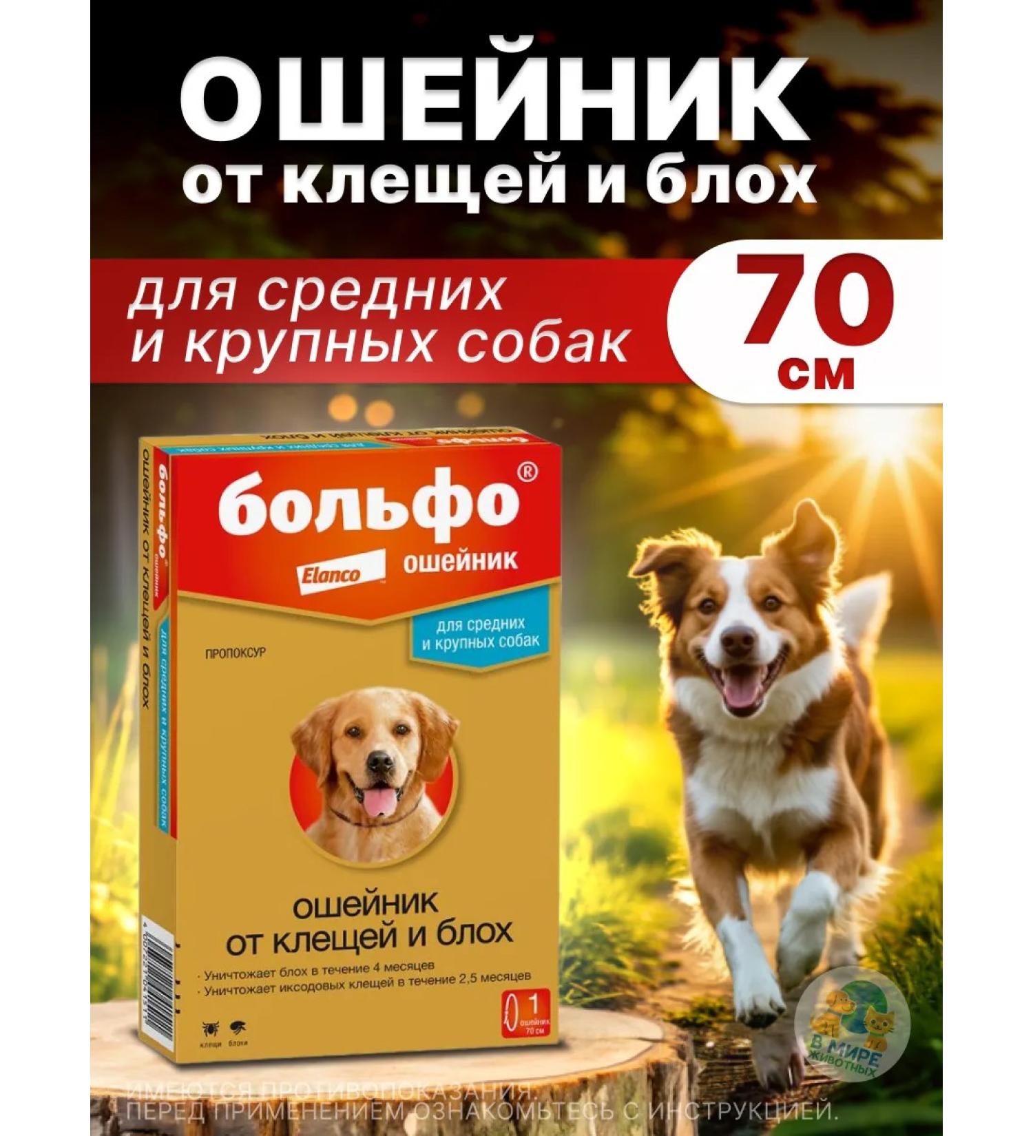 Elanco Bolfo collar for large dogs 70 cm - Buy Online on GoSupps.com