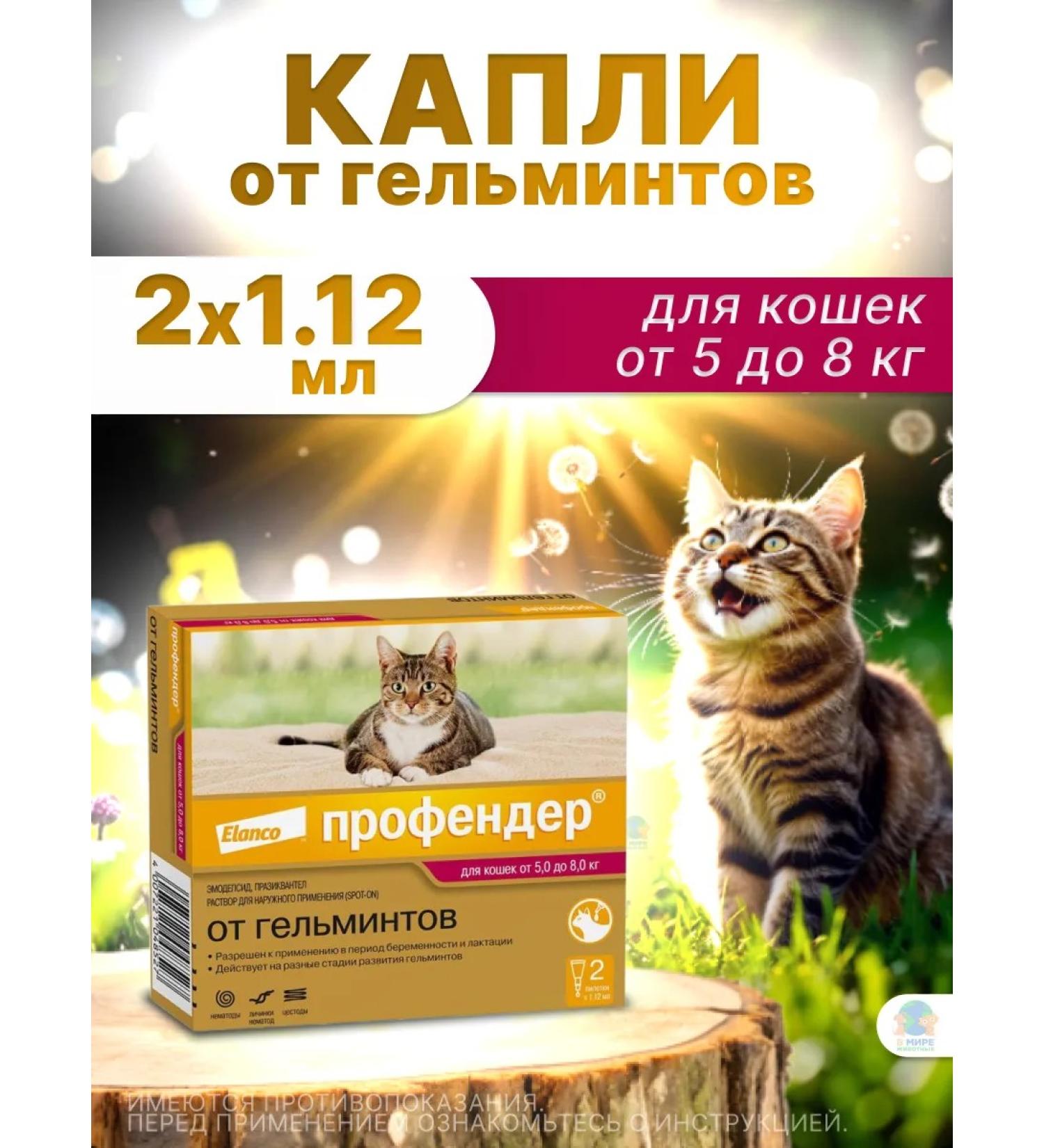 Elanco Drops Profender for cats from 5 to 8 kg 2 peep - Buy Online on GoSupps.com