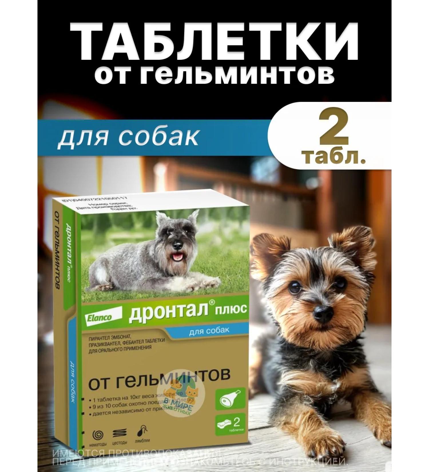 Elanco Drontal plus tablets for medium dogs 2 tablets - Buy Online on GoSupps.com