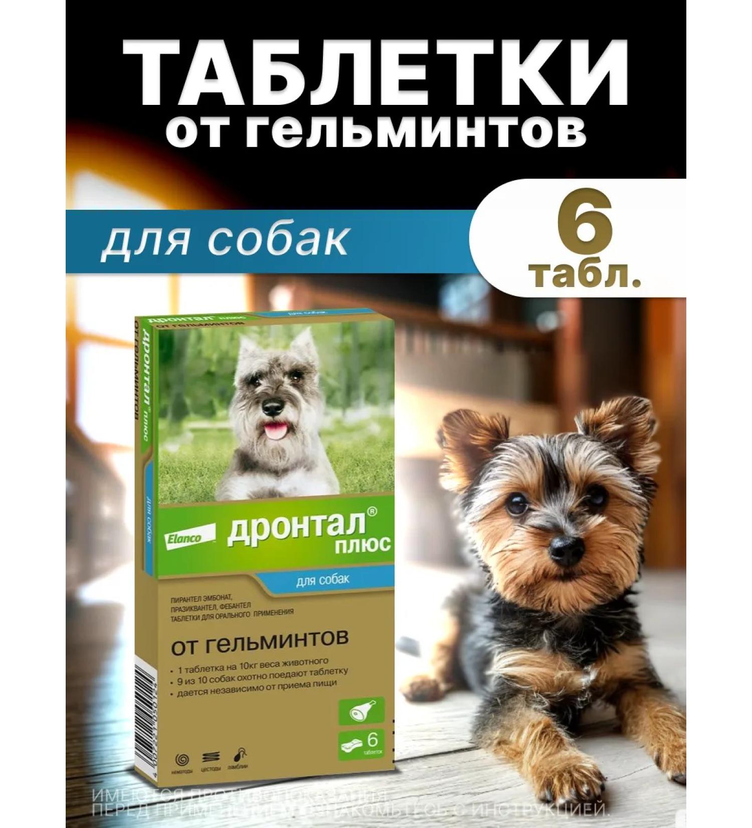 Elanco Drontal plus tablets for medium dogs 6 tablets - Buy Online on GoSupps.com