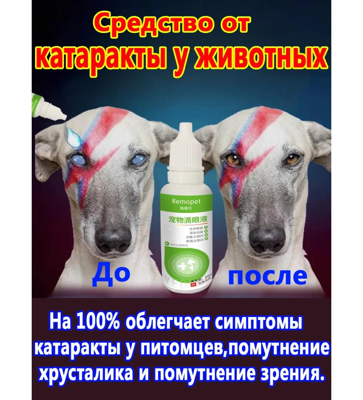 Drops from cataracts for cats and dogs 60 ml - Buy Online on GoSupps.com
