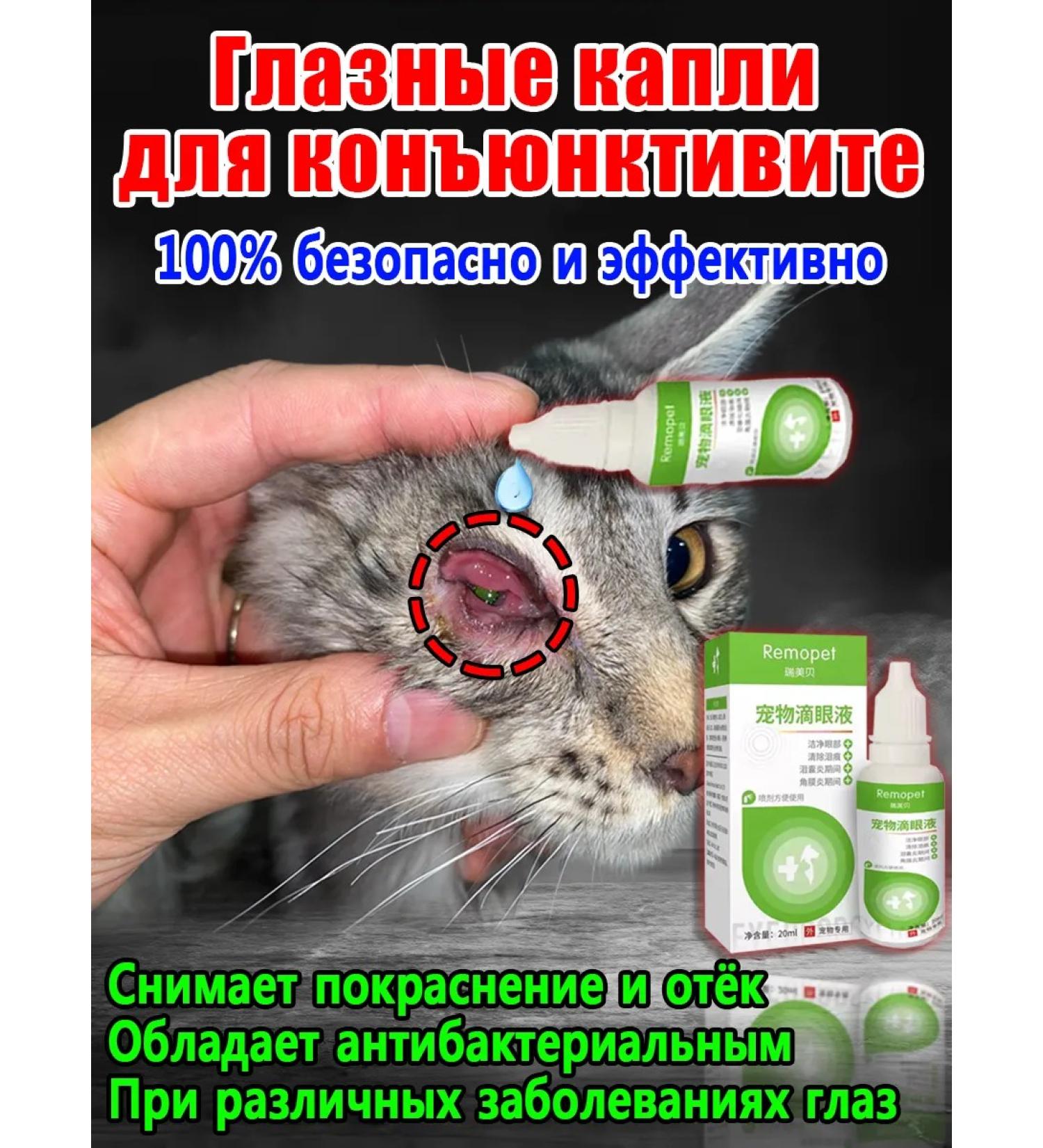 Drops for cats and dogs from conjunctivitis and lacrimal paths - Buy Online on GoSupps.com