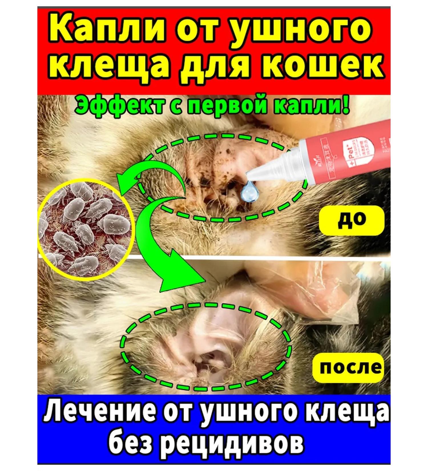 Drops from the ear tick for cats and dogs 60ml - Buy Online on GoSupps.com