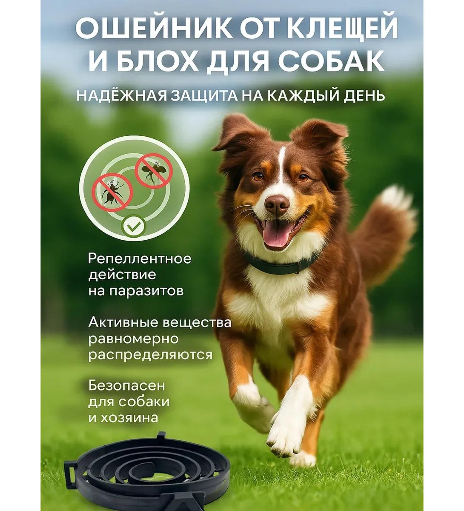 It will be necessary Blockel collar for dogs - Buy Online on GoSupps.com