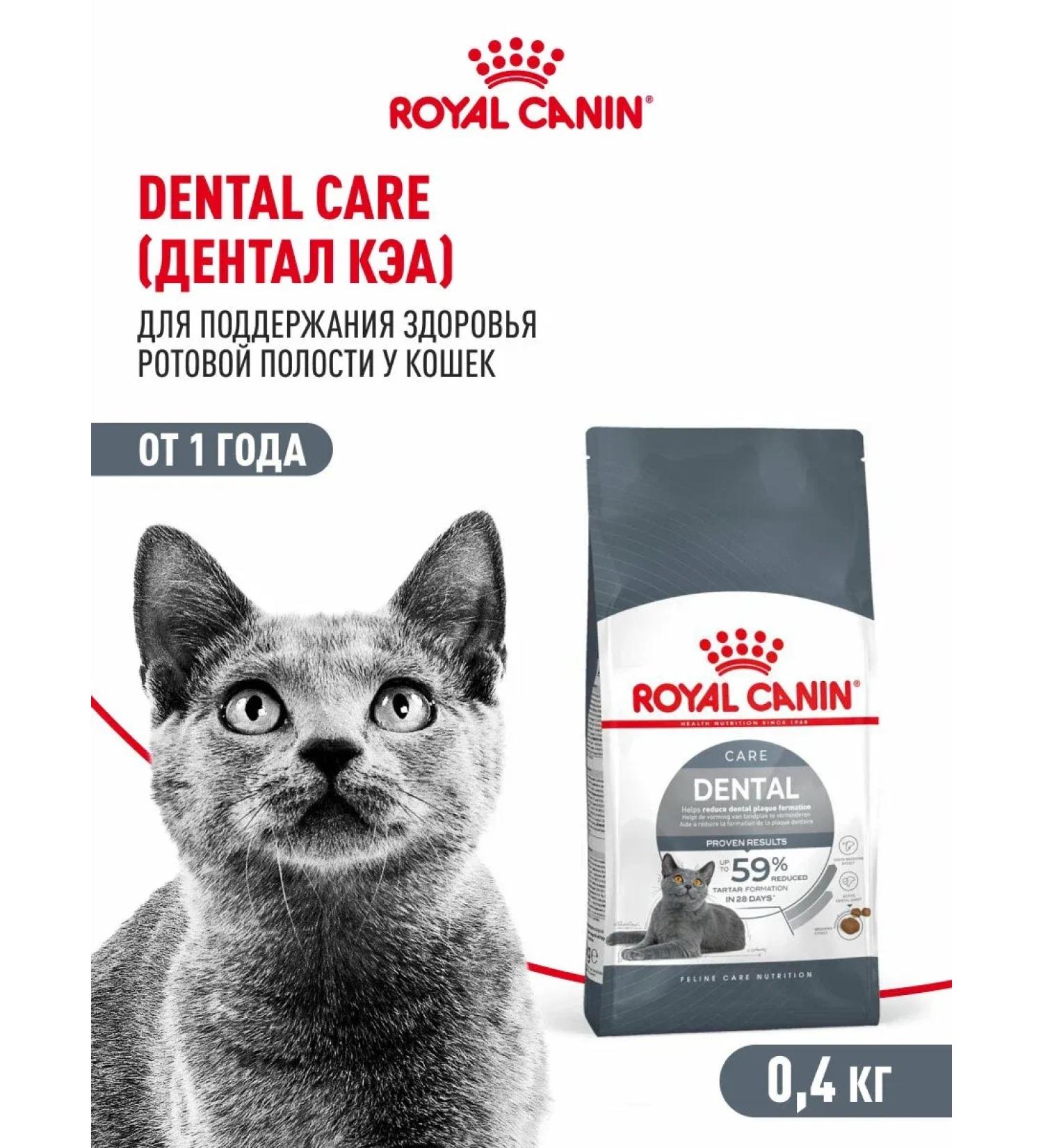 ROYAL CANIN Dental Care cats Dental KEA 0.4 kg - Buy Online on GoSupps.com