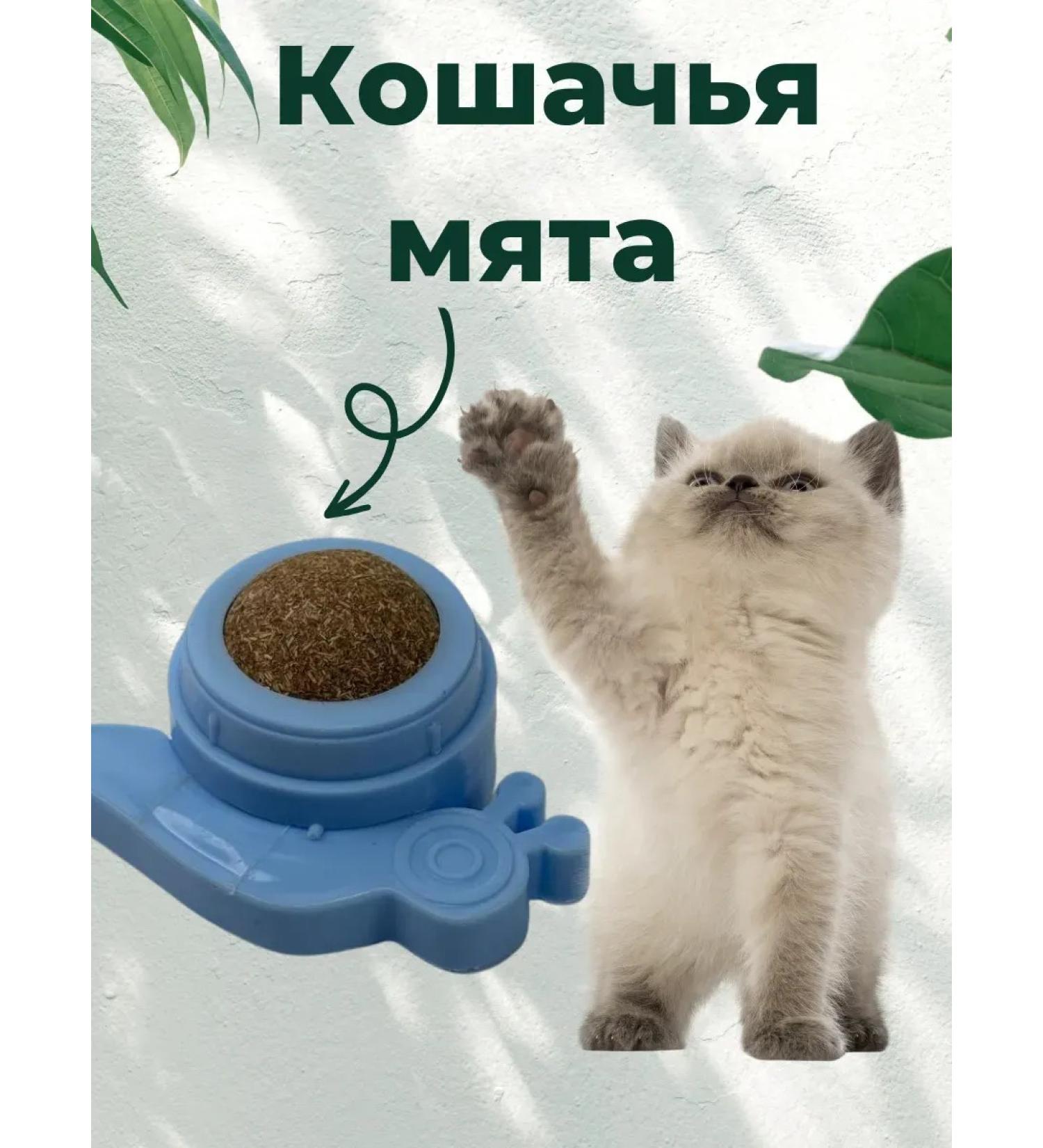 Meruert1 Catnip - Buy Online on GoSupps.com