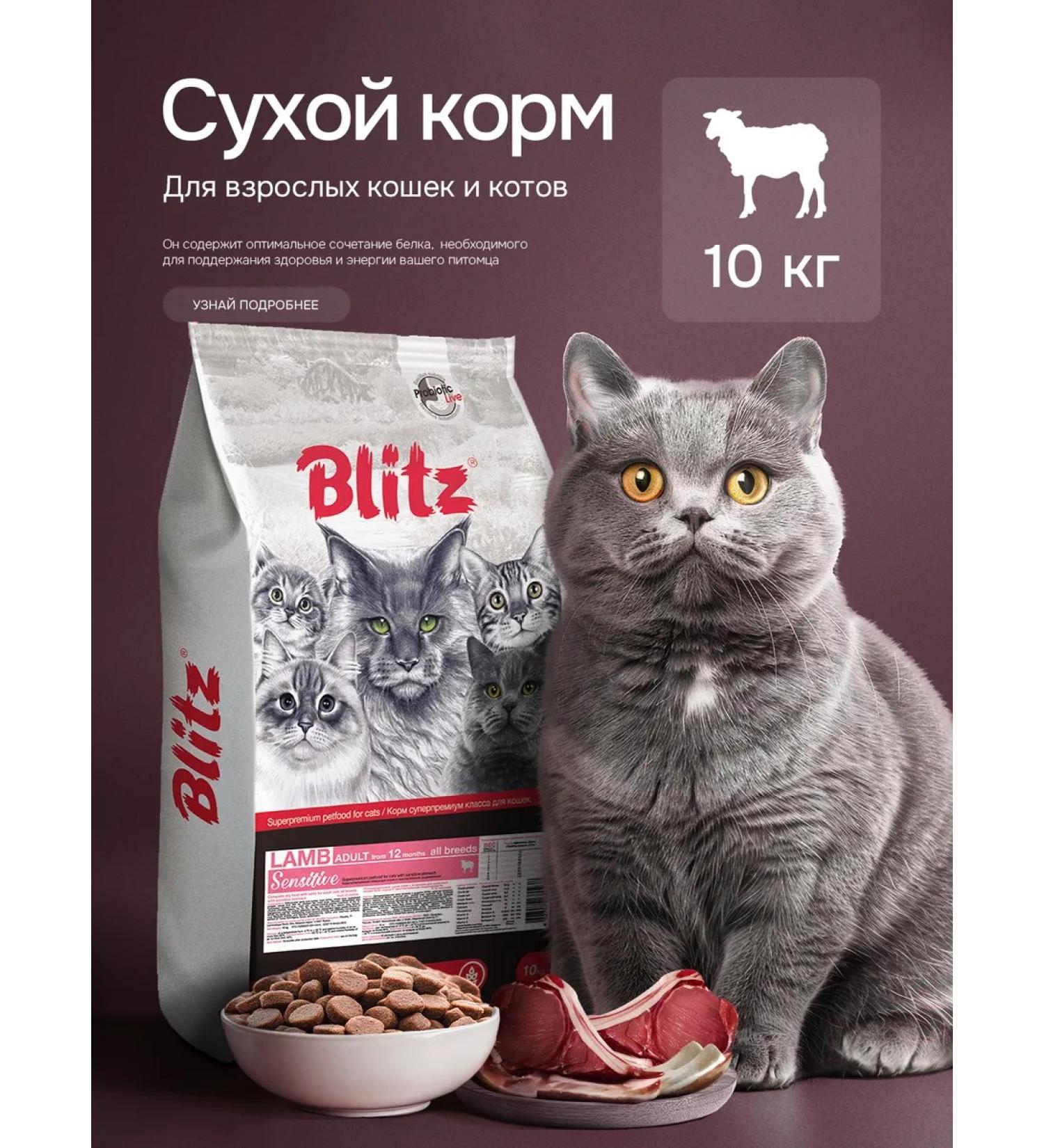 BLITZ Dry food for cats with lamb 10kg - Buy Online on GoSupps.com