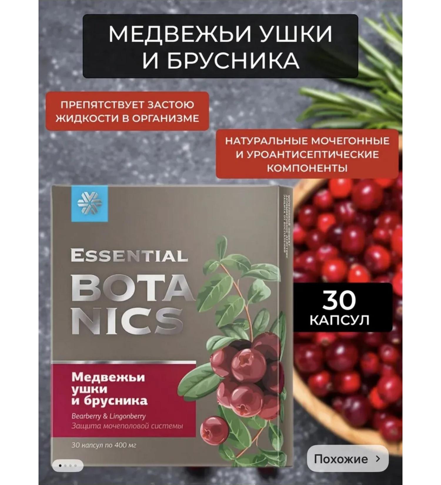 HEALTH Bear ears and lingonberry protection of the genitourinary system