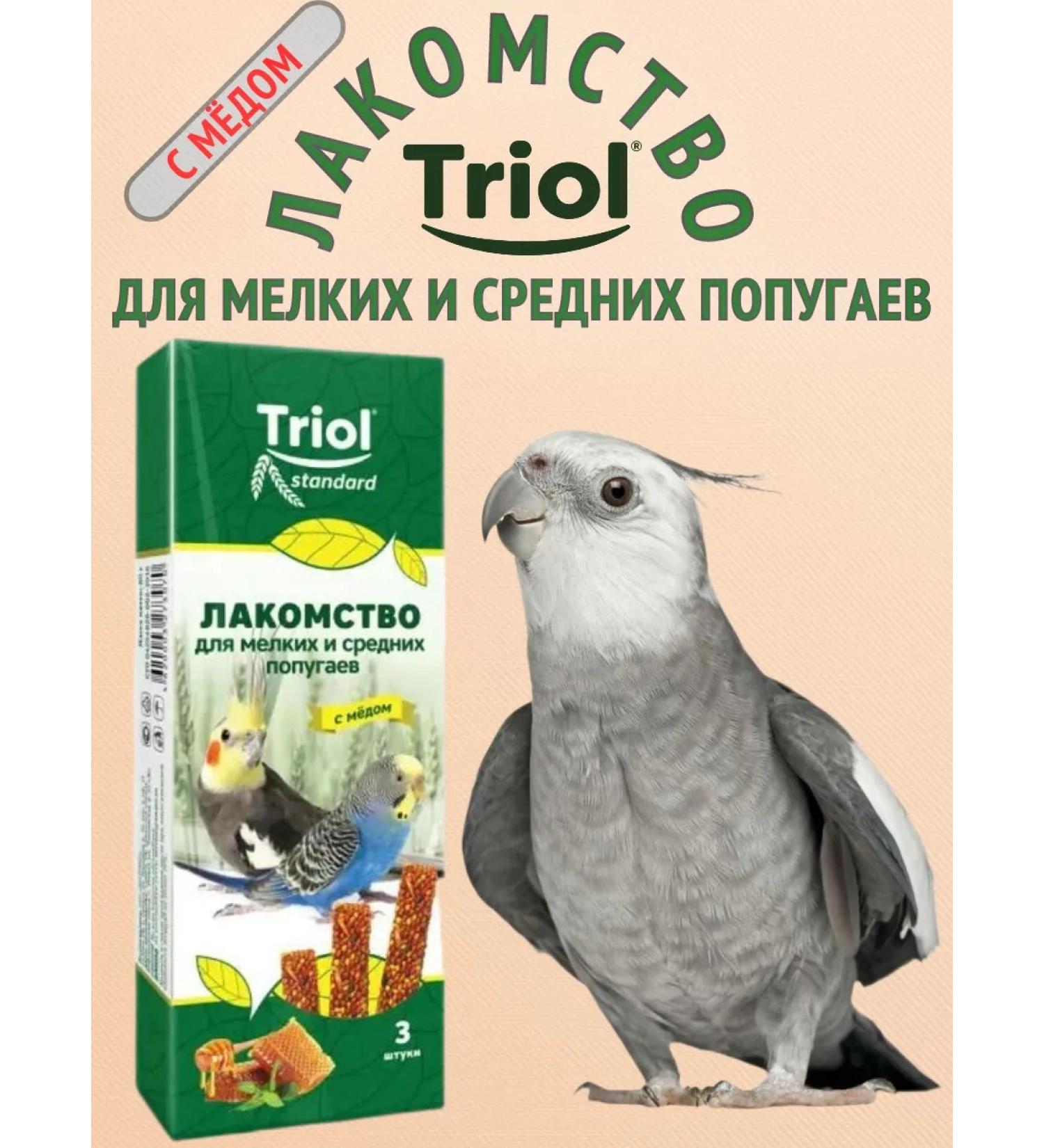 Triol A treat for small and medium parrots with a honey 80g - Buy Online on GoSupps.com