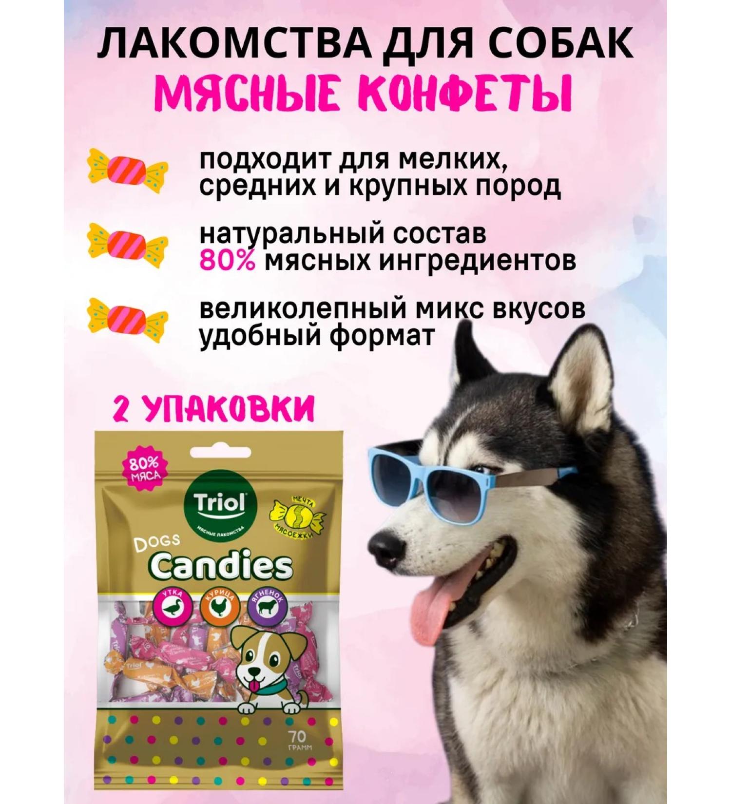 Triol Dog's delicacies meat sweets 2 packages - Buy Online on GoSupps.com