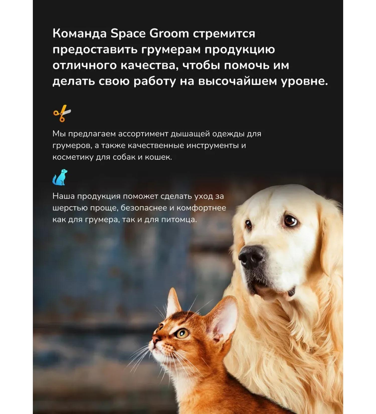 animals boutique Professional cleansing shampoo for dogs and cats ginger