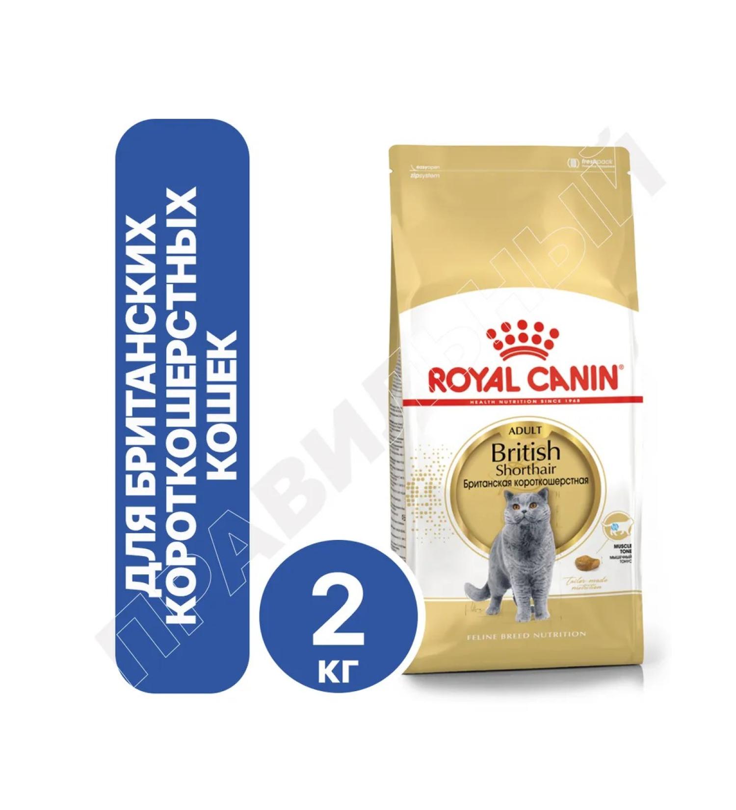 ROYAL CANIN British Adult Form for British Cats 2kg - Buy Online on GoSupps.com