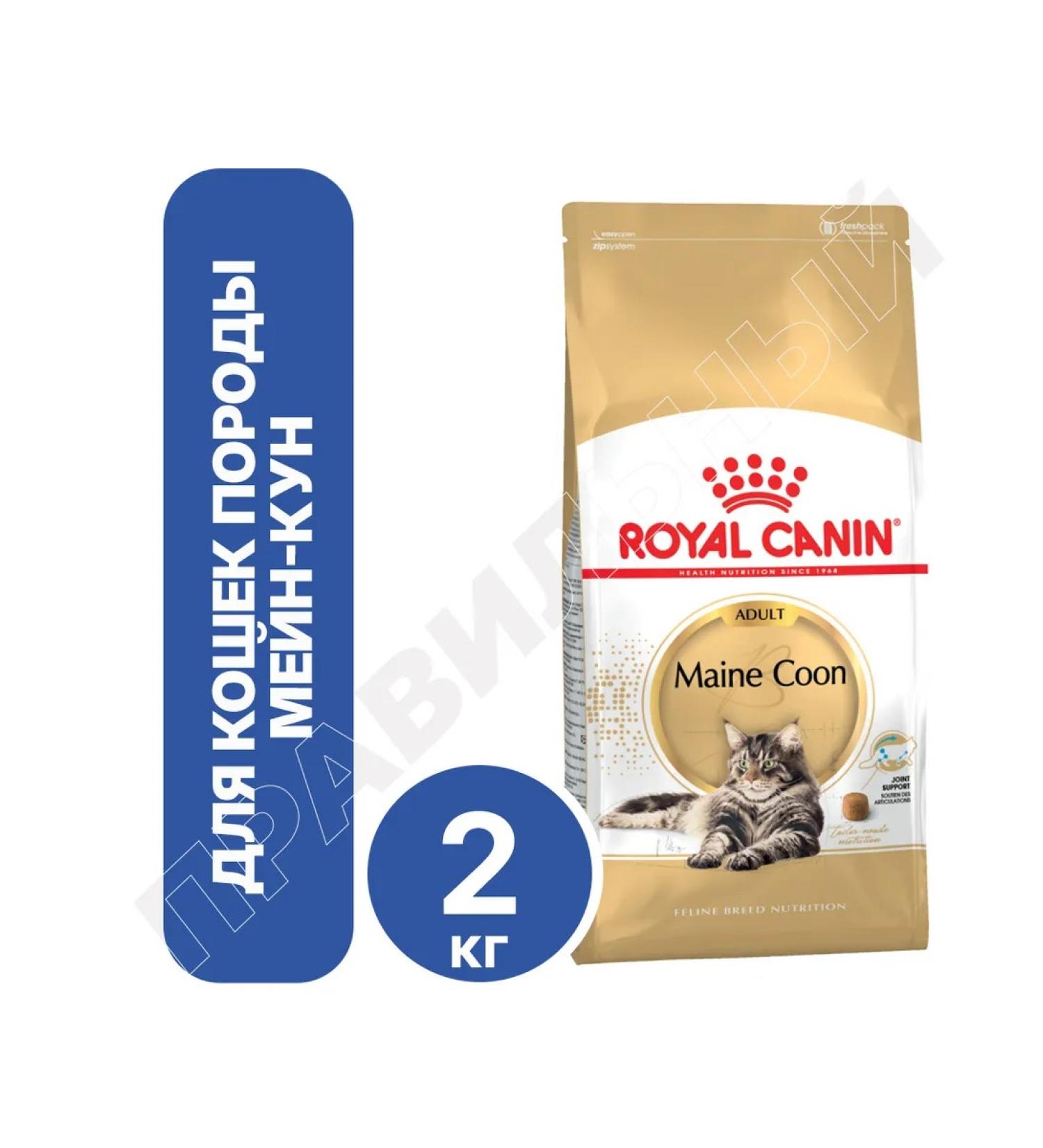 ROYAL CANIN Main coon adult - Buy Online on GoSupps.com