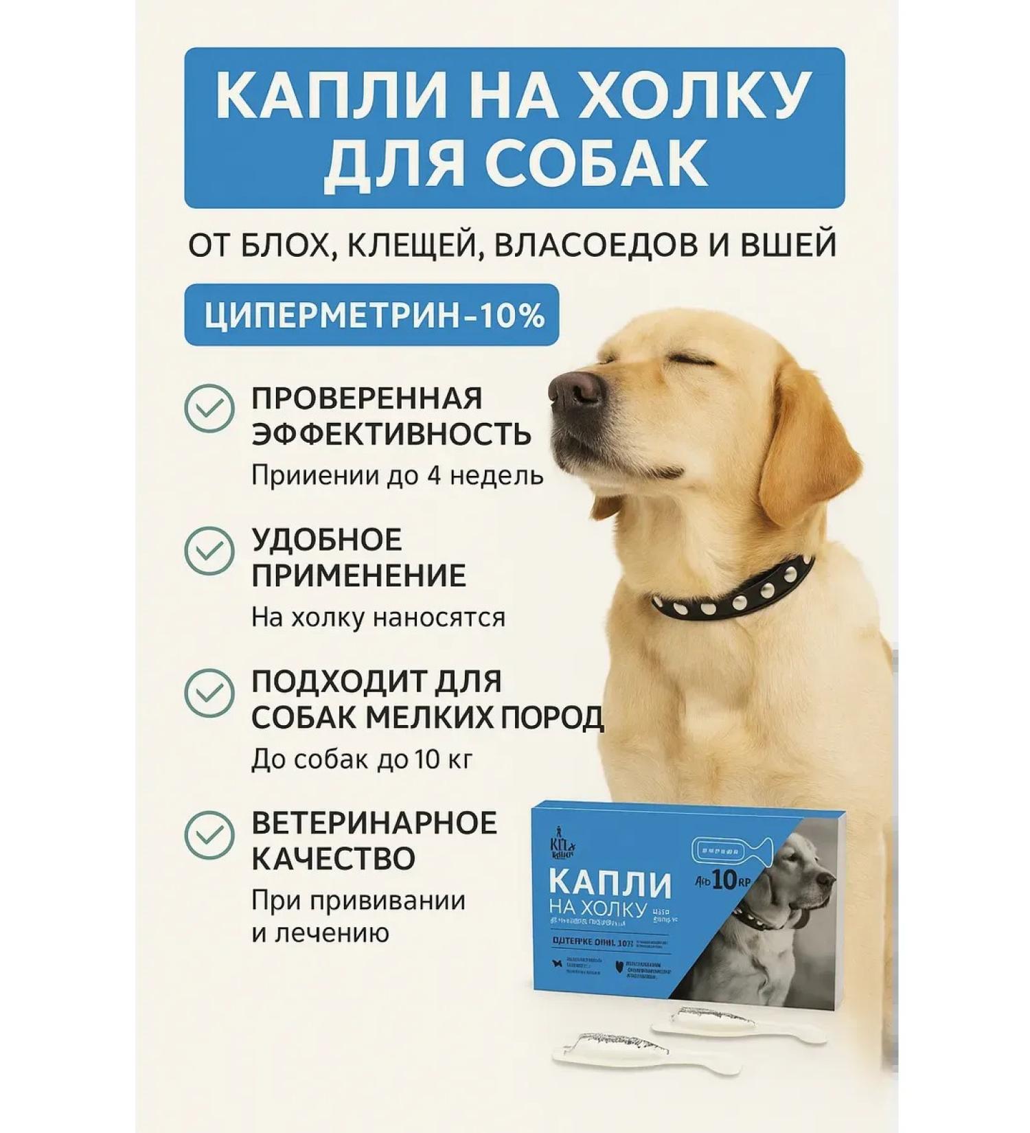 QwertyA Drops for dogs for dogs - Buy Online on GoSupps.com