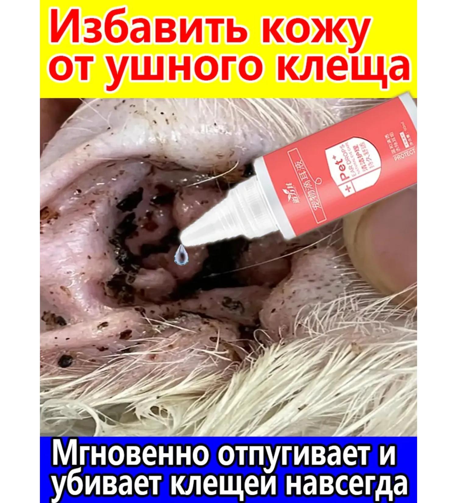 Drops from the ear tick for cats and dogs 60 ml - Buy Online on GoSupps.com