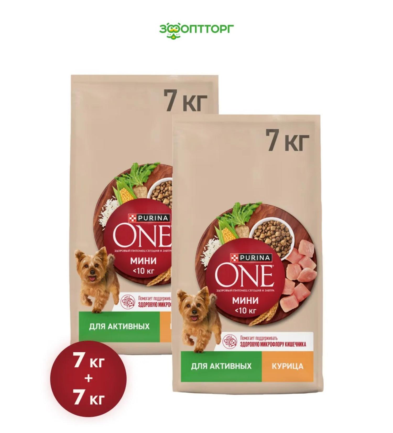 PURINA ONE Dry food mini "active" for small dogs chicken 14 kg - Buy Online on GoSupps.com
