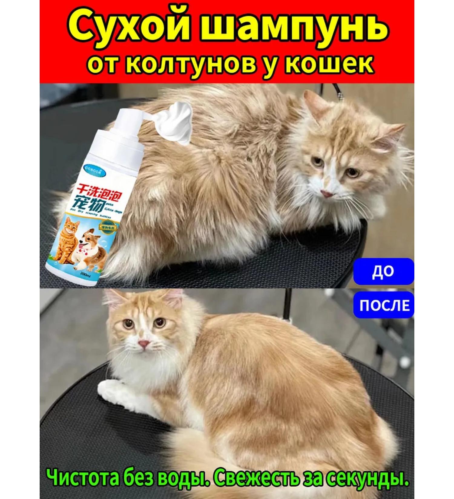 Dry shampoo for cats without water 200 ml - Buy Online on GoSupps.com