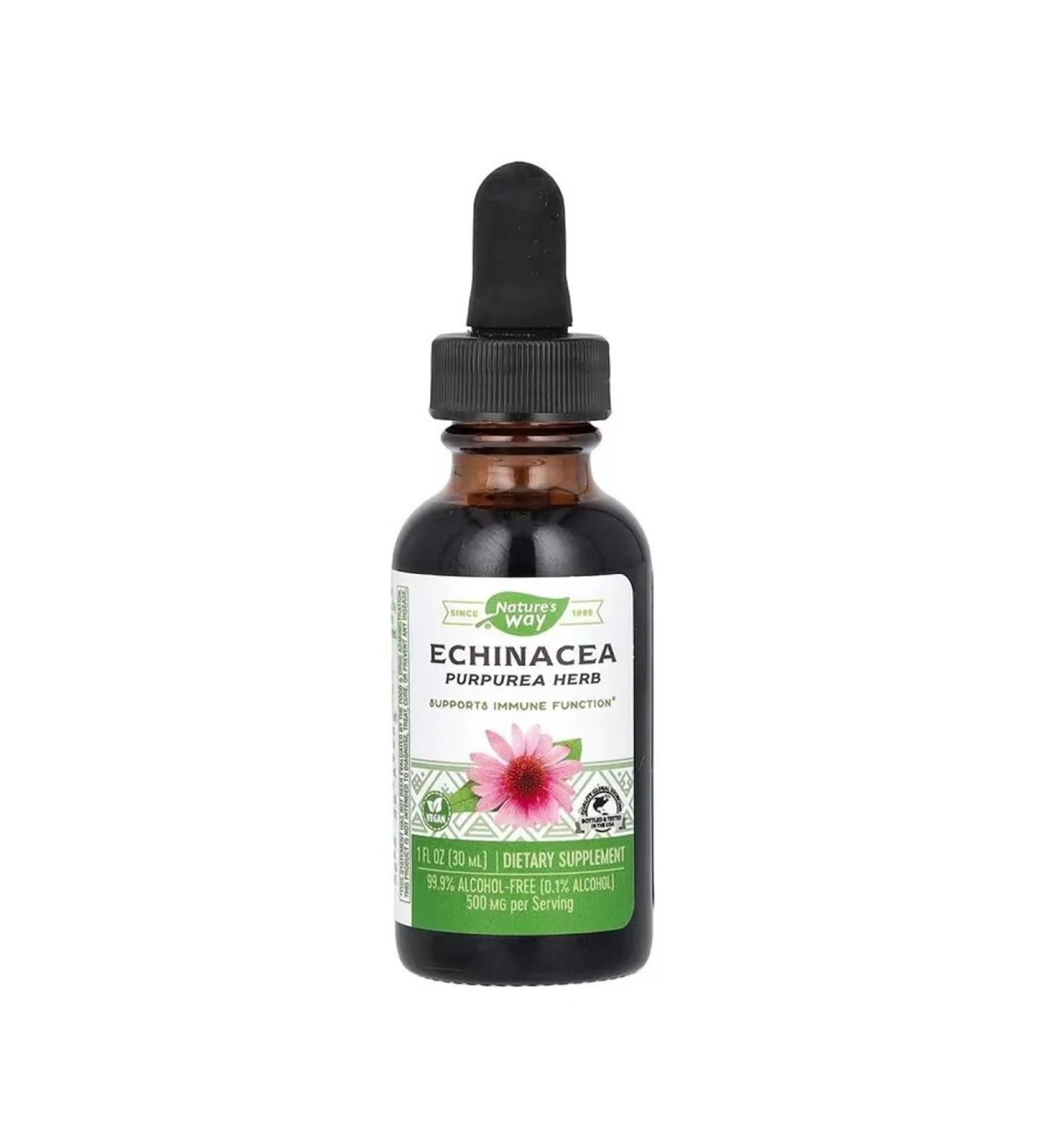 Nature's Way Echinacea 30 ml - Buy Online on GoSupps.com