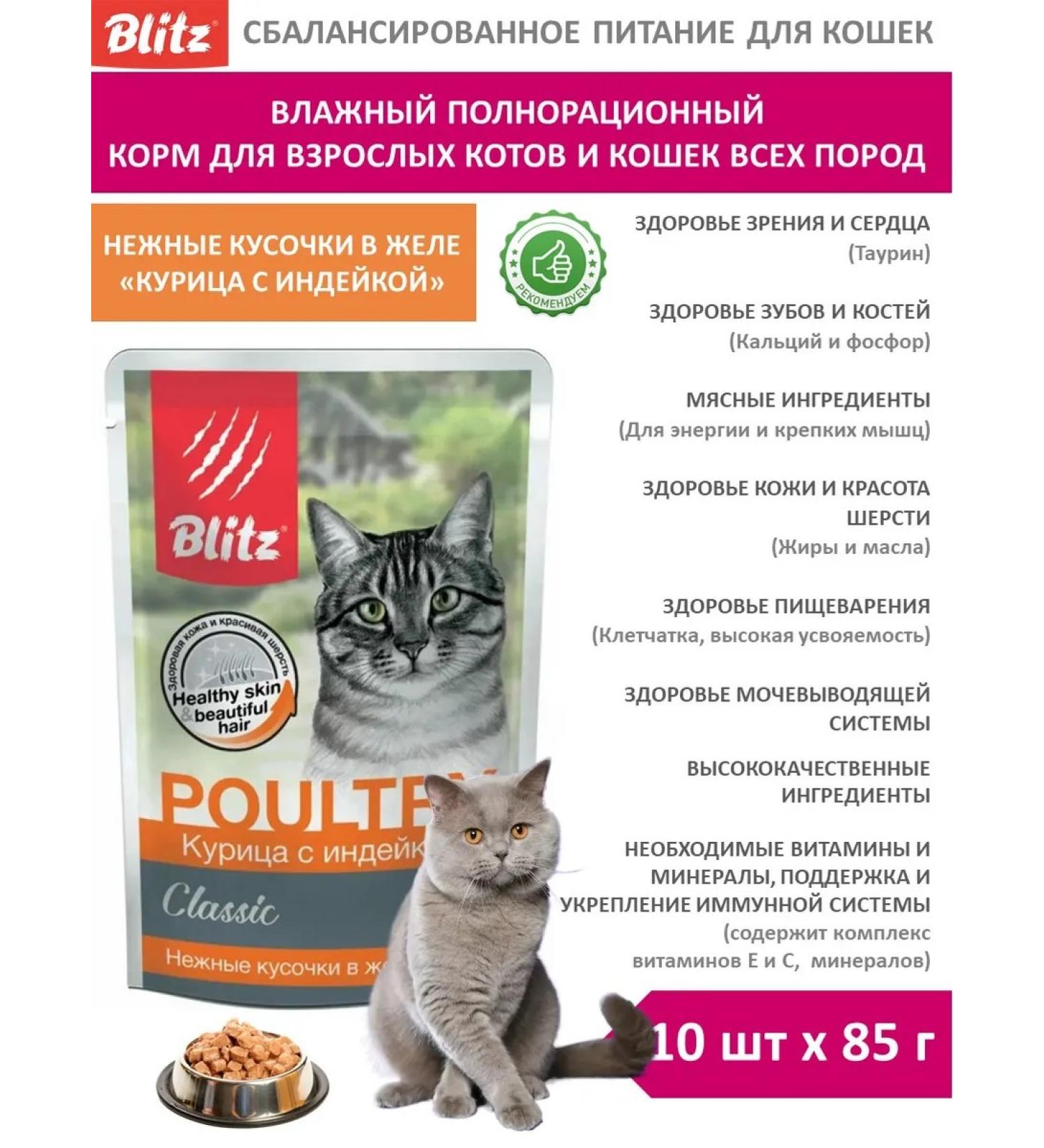 BLITZ Wet feed for cats 85g x 10pcs turkey with chicken in jelly