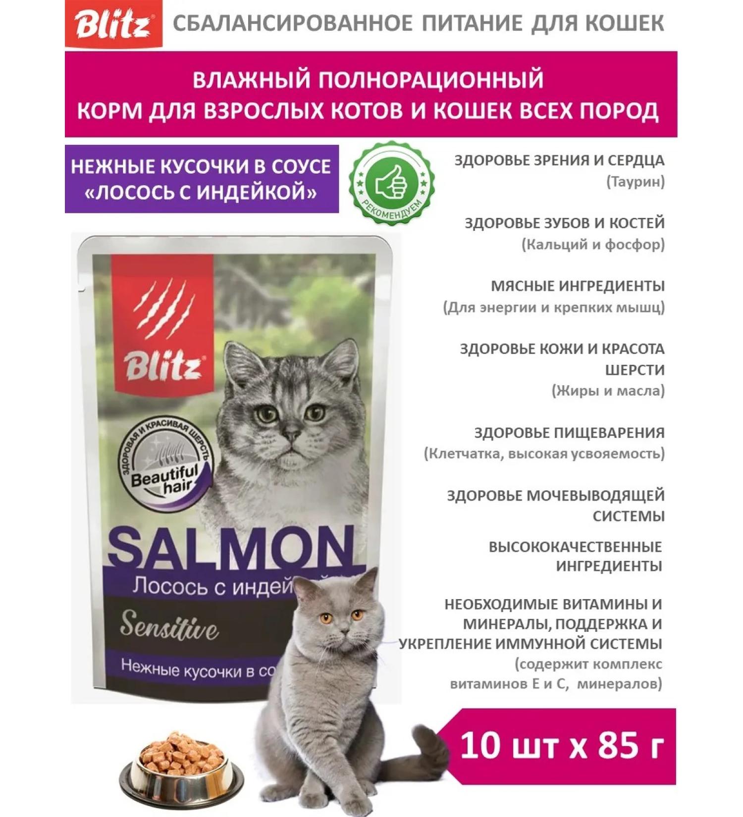 BLITZ Wet feed for cats 85g x 10pcs salmon with turkey in sauce