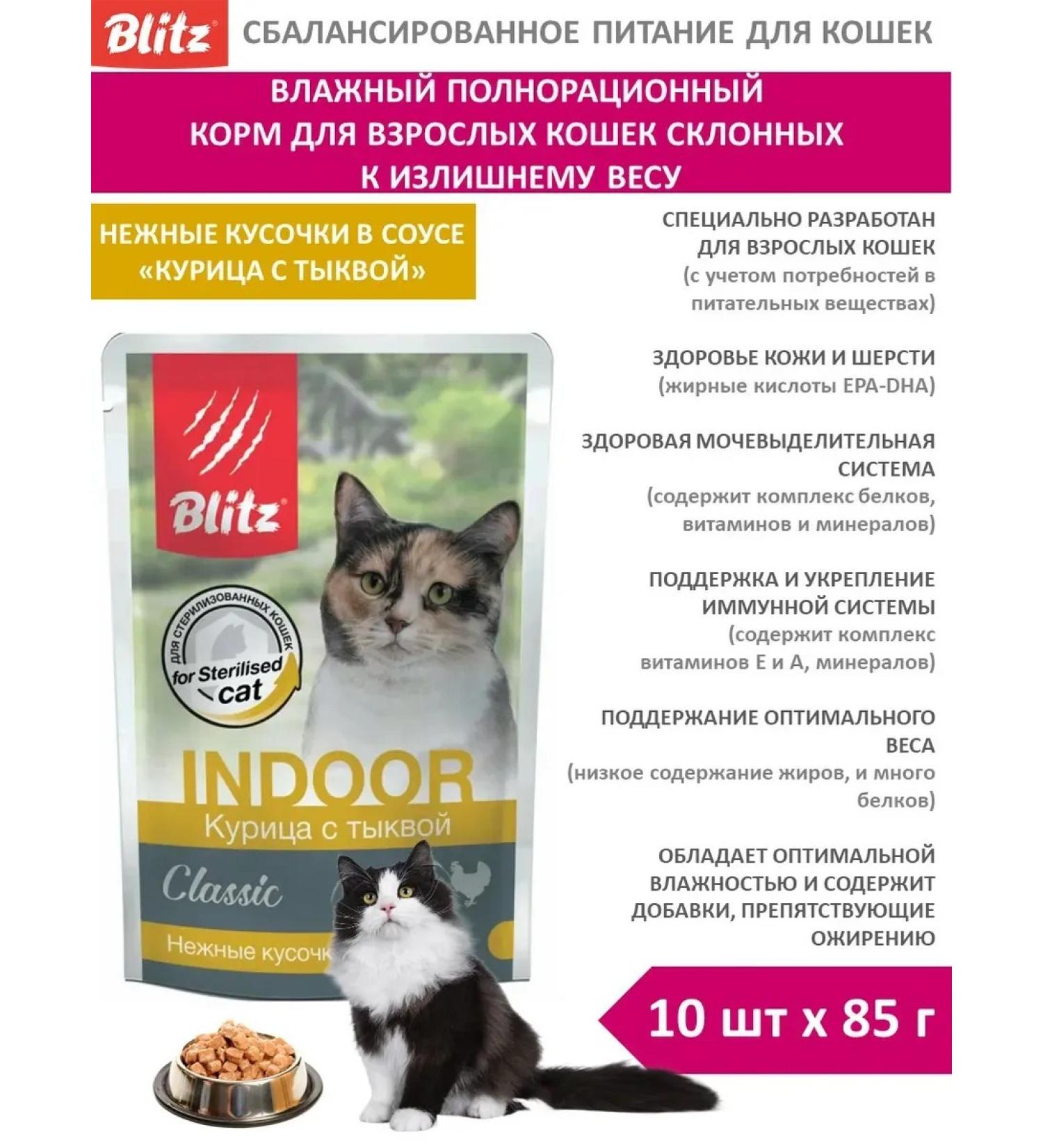 BLITZ Wet feed for cats 85g x 10pcs chicken with pumpkin in sauce